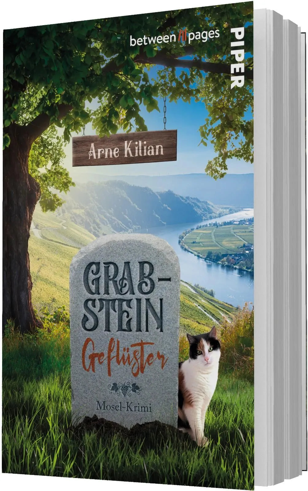 Detailansicht: Grabsteingeflüster (Taschenbuch)