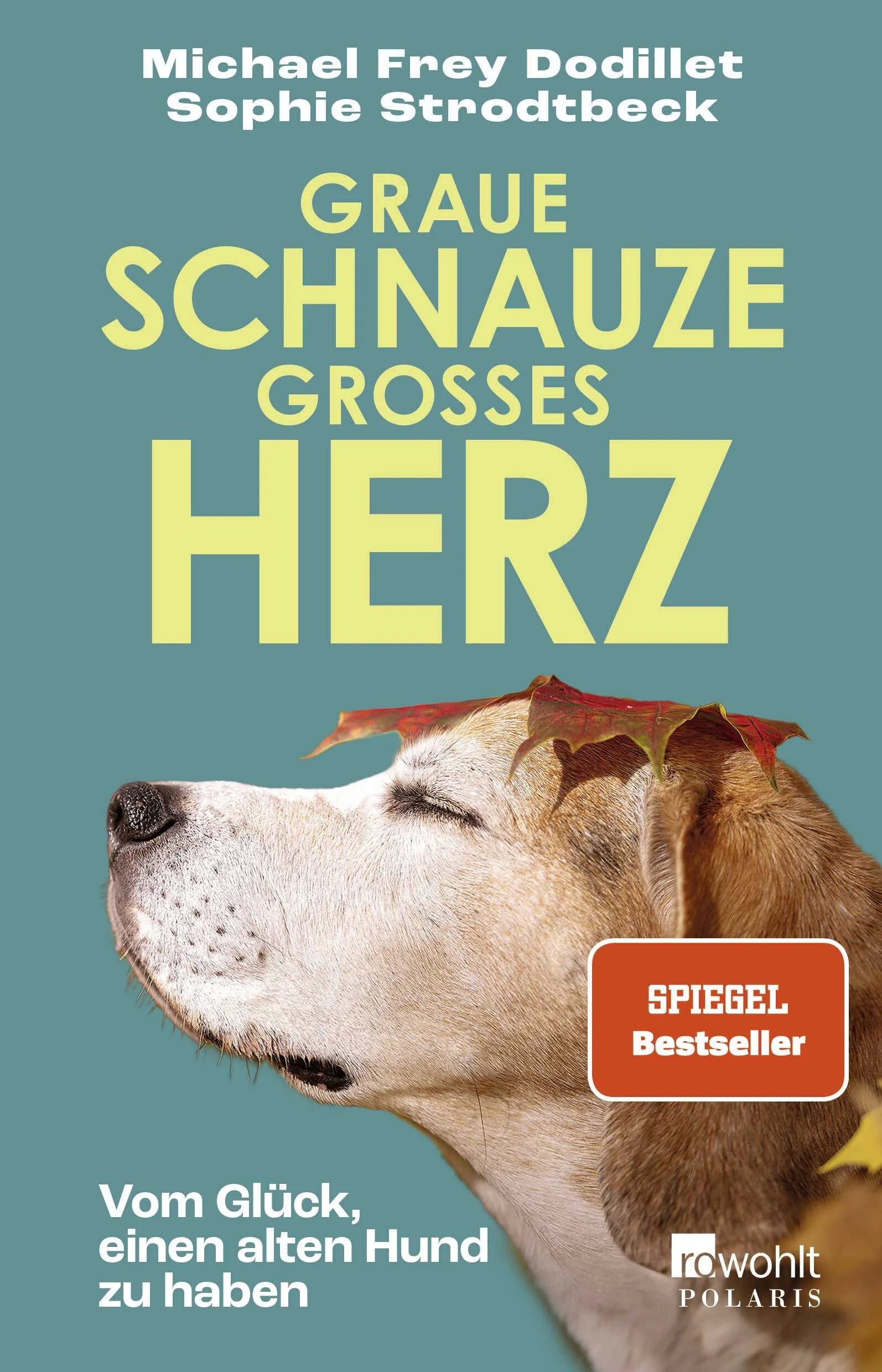 Buchcover von 'Graue Schnauze, großes Herz' - Paperback von Michael Frey Dodillet