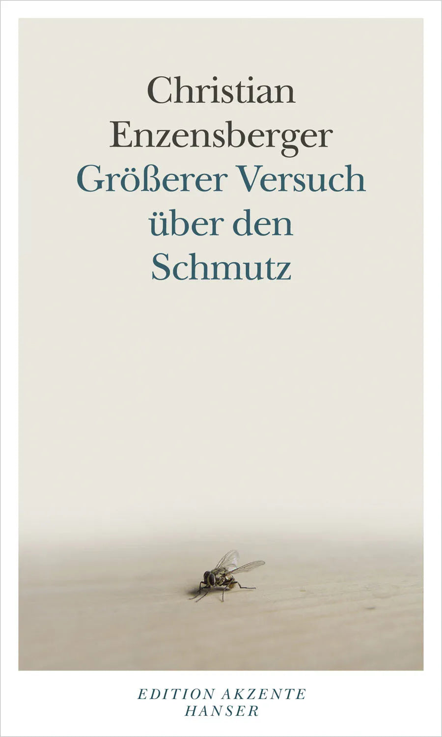 Buchcover von 'Größerer Versuch über den Schmutz' - Gebundene Ausgabe von Christian Enzensberger