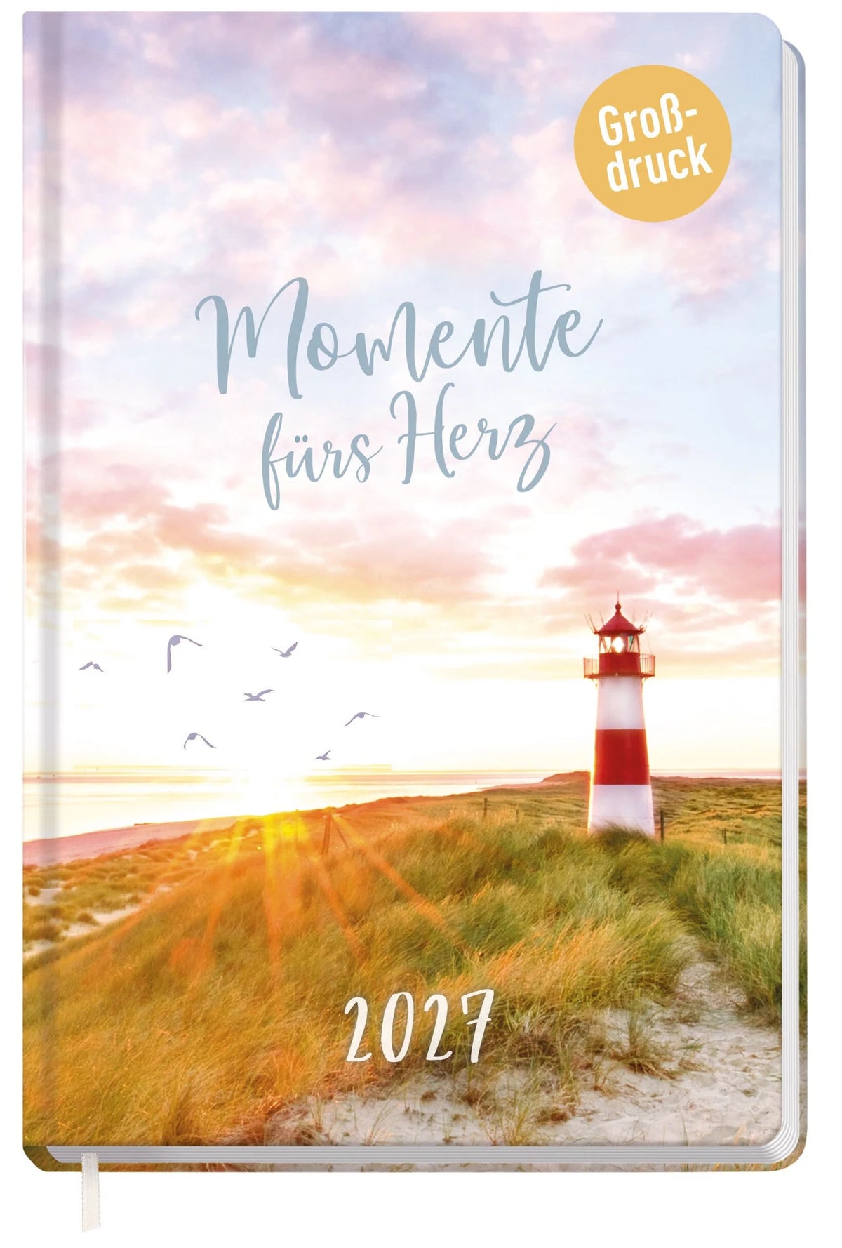 Taschenkalender: Großdruck-Kalender 2027