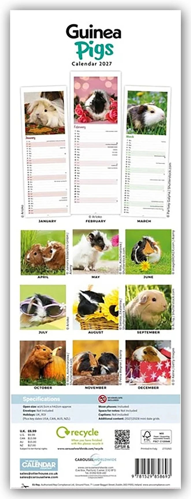 Guniea Pigs – Meerschweinchen 2027 – Slimline-Kalender – Ansicht
