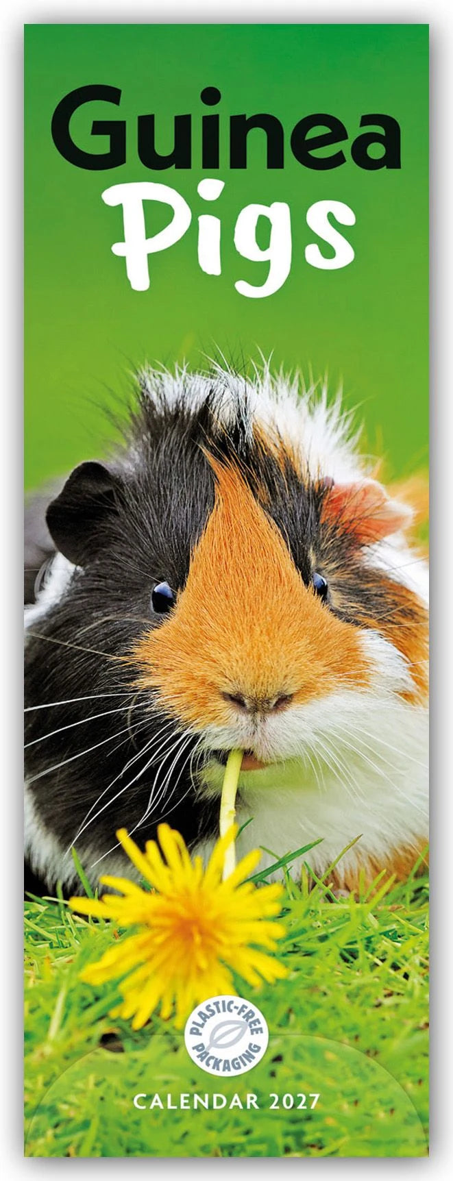 Wandkalender: Guniea Pigs – Meerschweinchen 2027 – Slimline-Kalender