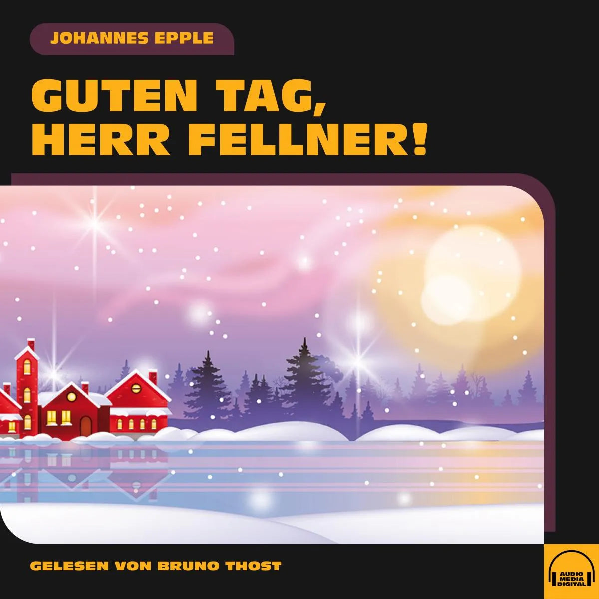 Cover: Guten Tag, Herr Fellner! (Hörbuch Download) von Johannes Epple