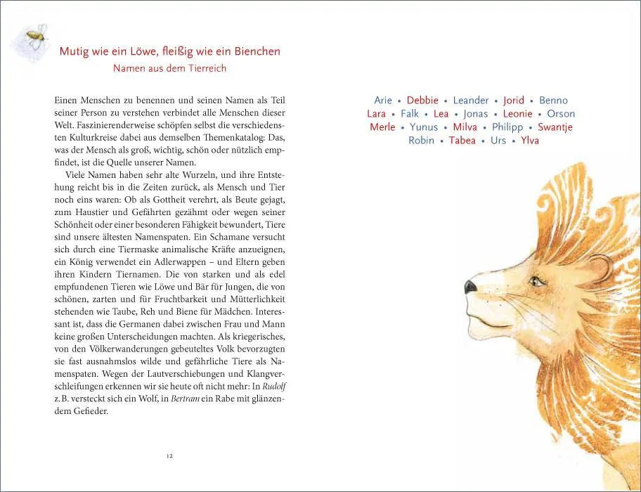 Produktansicht: »Habt ihr schon einen Namen?« (Gebundene Ausgabe)