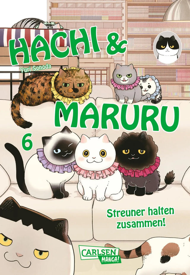Cover: Hachi & Maruru – Streuner halten zusammen! 6 (Taschenbuch) von Yuri Sonoda