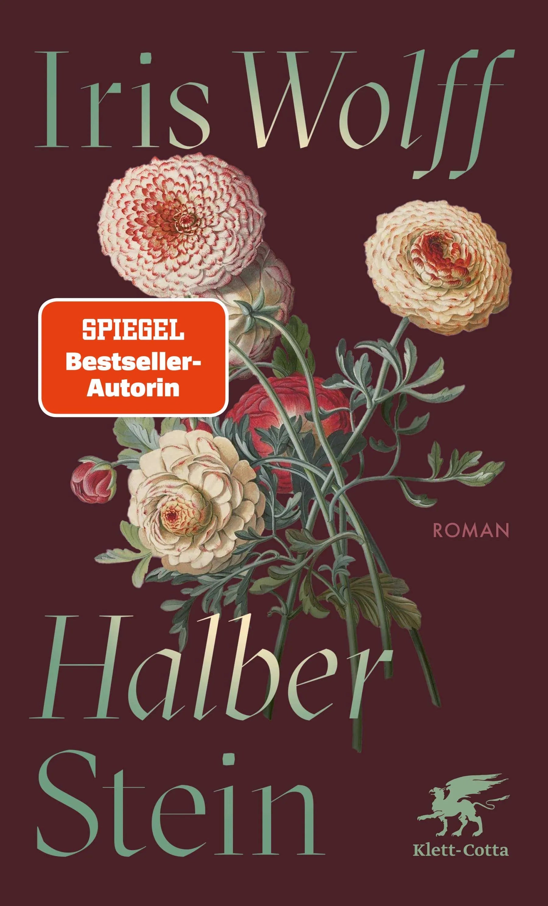 Cover: Halber Stein (Taschenbuch) von Iris Wolff