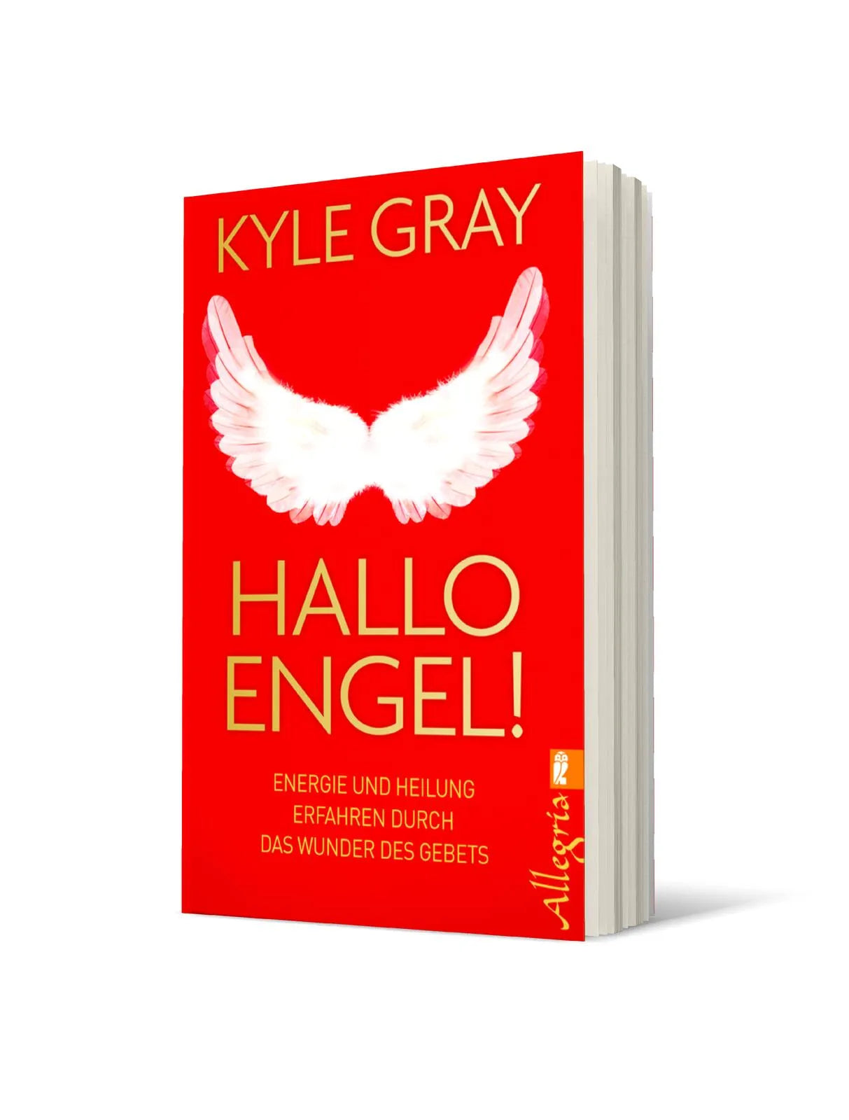 Produktansicht: Hallo Engel! (Taschenbuch)