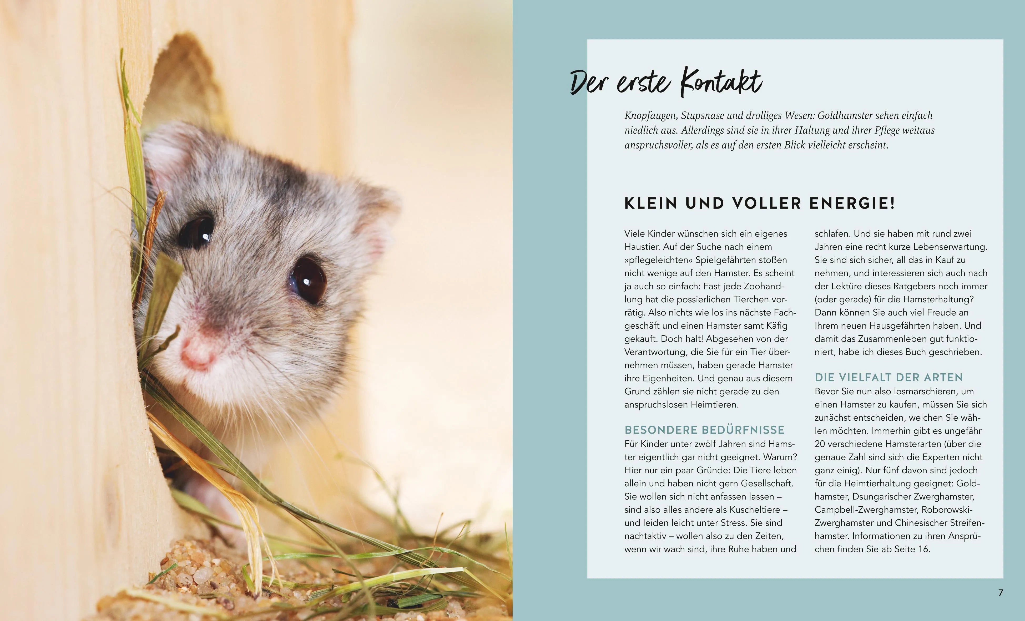 Produktansicht: Hamster (Taschenbuch)