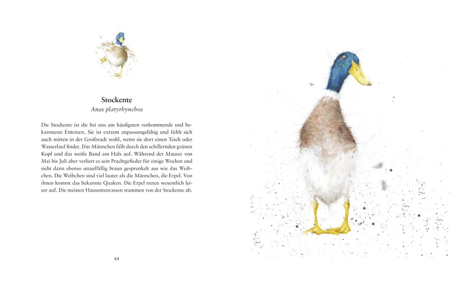 Produktansicht: Tierleben – Auf der Wiese, im Wald und am Wasser (Gebundene Ausgabe)