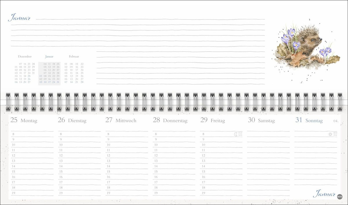 Hannah Dale : Wochenquerplaner 2027 – Ansicht