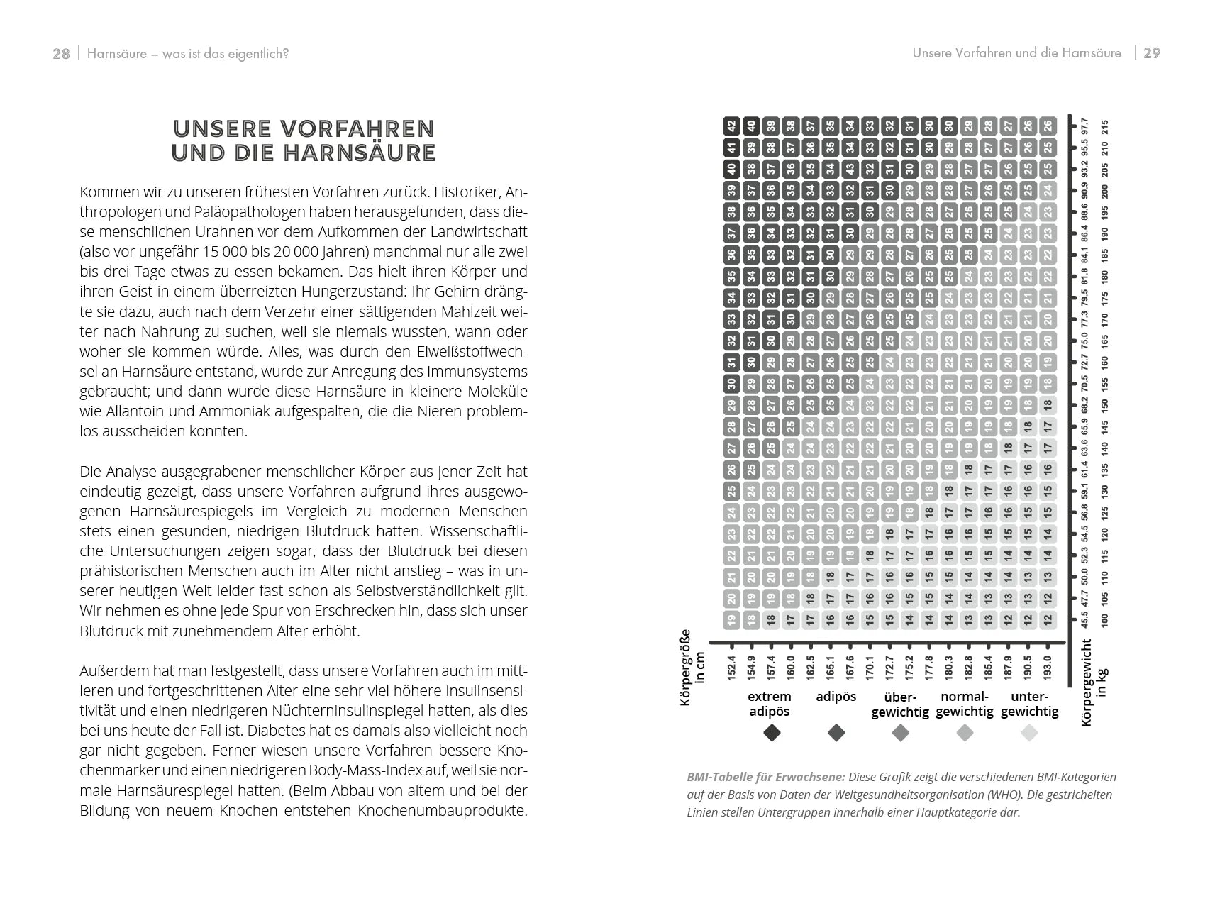 Innenansicht von 'Harnsäure in Balance' - Taschenbuch