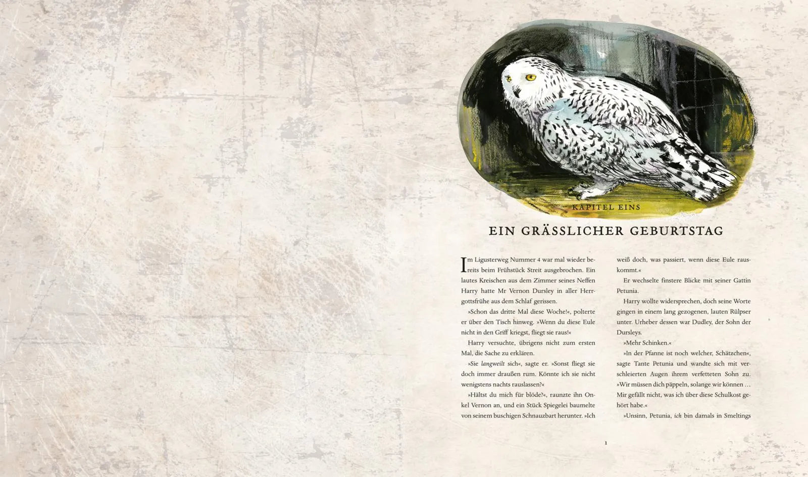 Produktansicht: Harry Potter und die Kammer des Schreckens (Gebundene Ausgabe)
