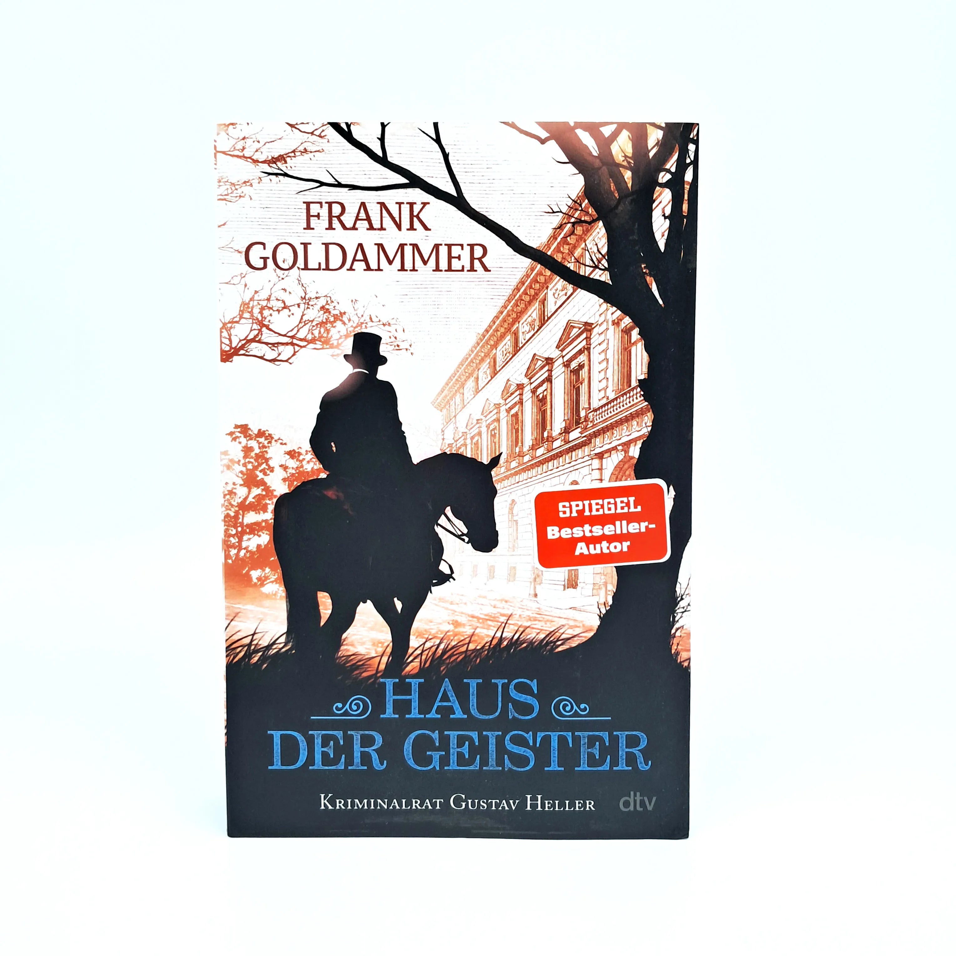 Produktansicht: Haus der Geister (Paperback)