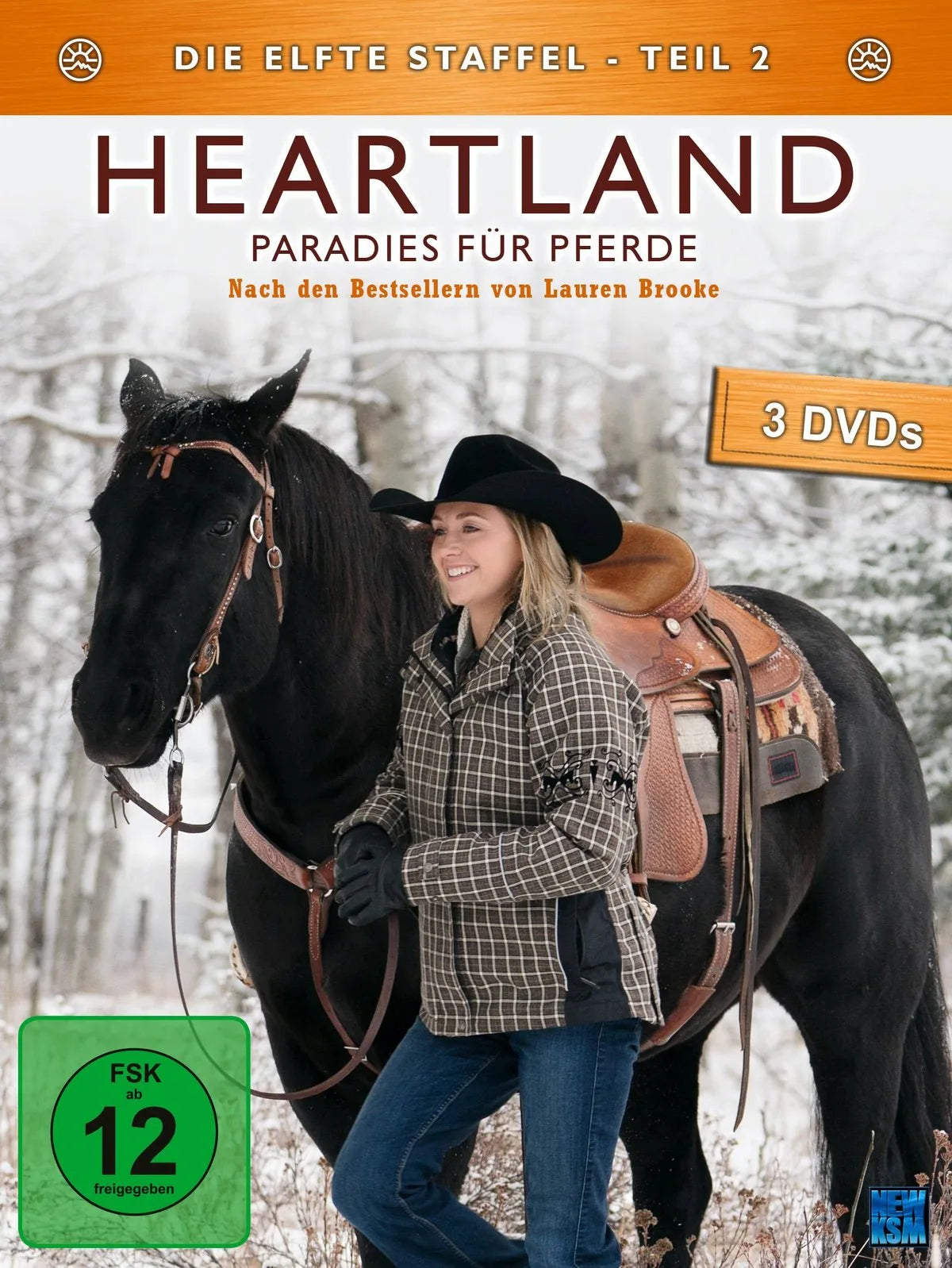 Heartland - Paradies für Pferde - Staffel 11.2 - DVD