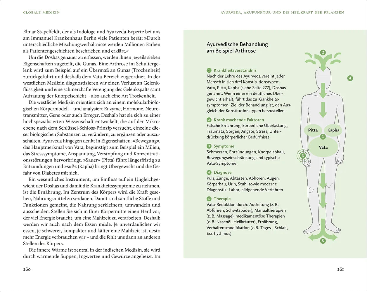 Detailansicht: Heilen mit der Kraft der Natur (Taschenbuch)