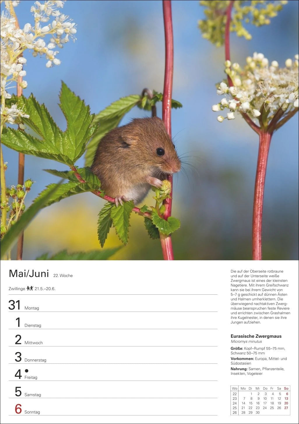 Heimische Tiere Wochenplaner 2027 - 53 faszinierende Fotografien – Ansicht