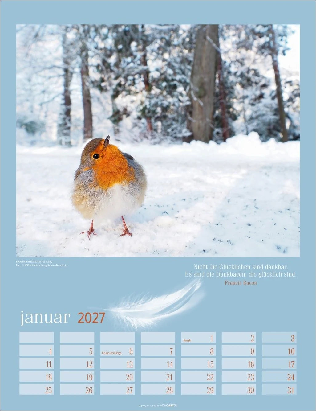 Heimische Vögel Kalender 2027 – Ansicht