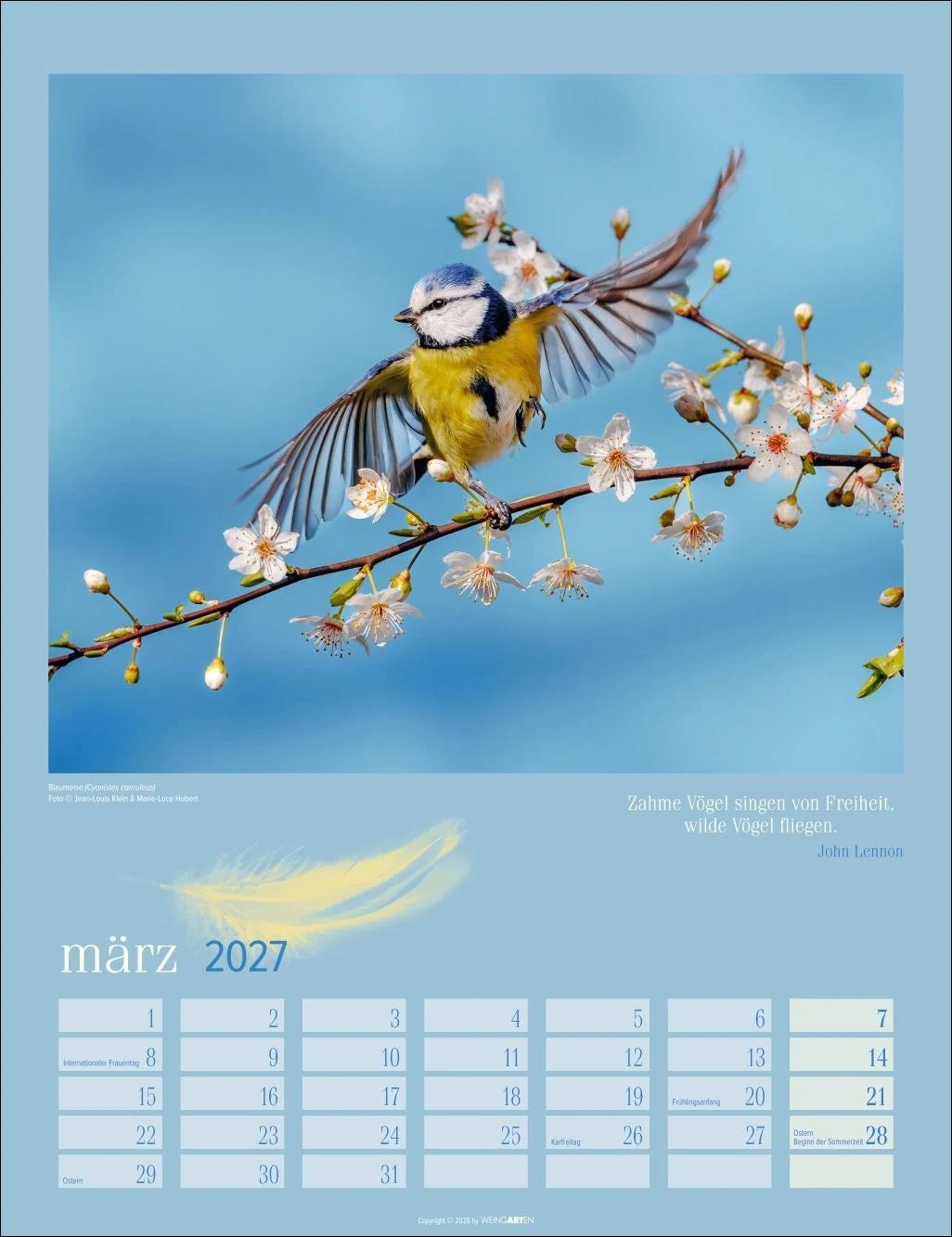Heimische Vögel Kalender 2027 – Ansicht