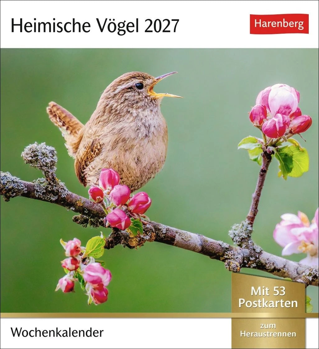 Postkartenkalender: Heimische Vögel Postkartenkalender 2027 - Wochenkalender mit 53 Postkarten