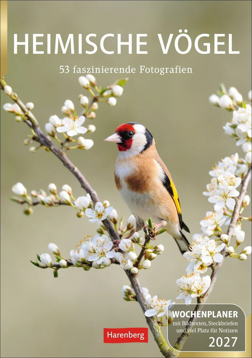 Taschenkalender: Heimische Vögel Wochenplaner 2027 - 53 faszinierende Fotografien
