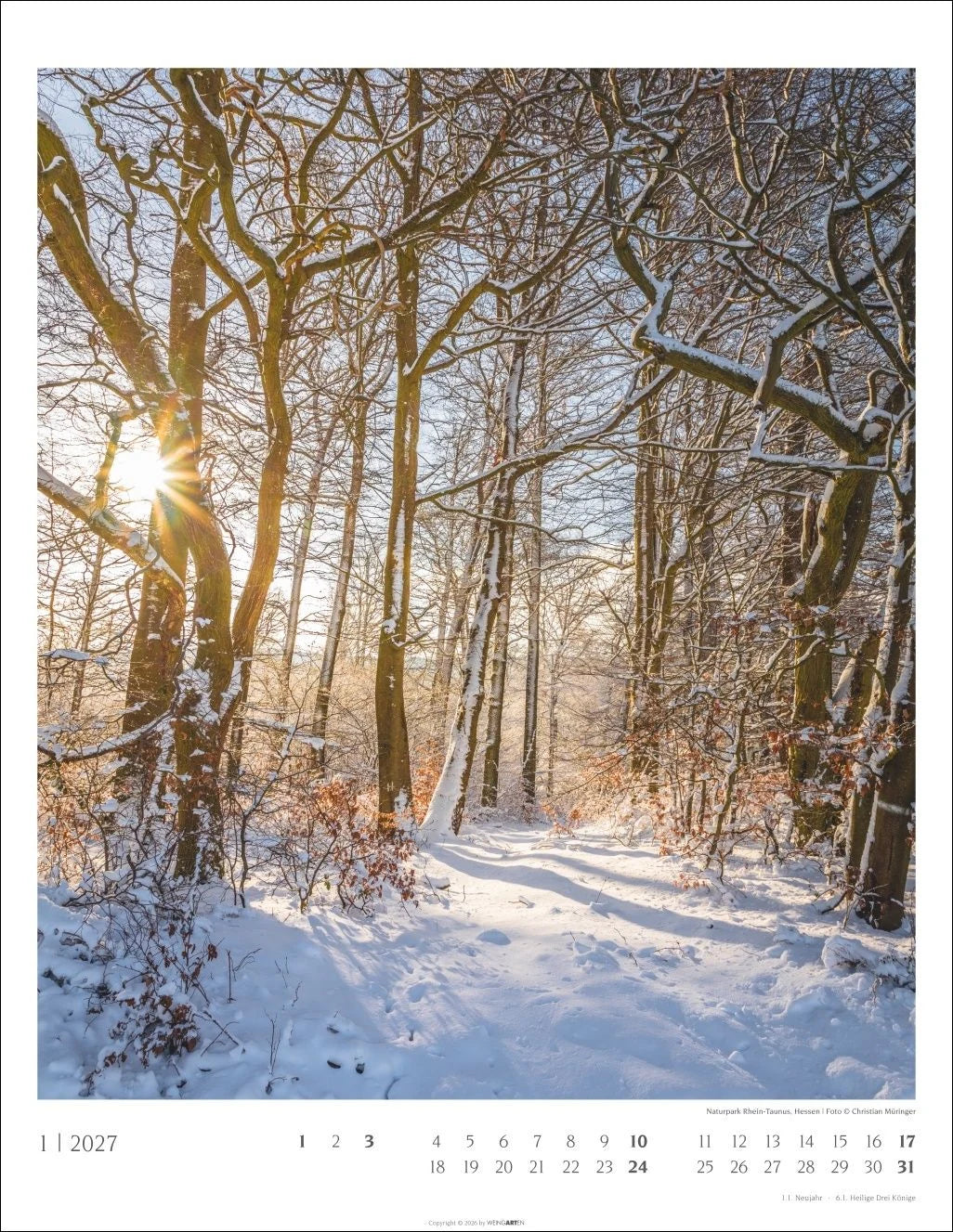 Heimische Wälder Kalender 2027 – Ansicht