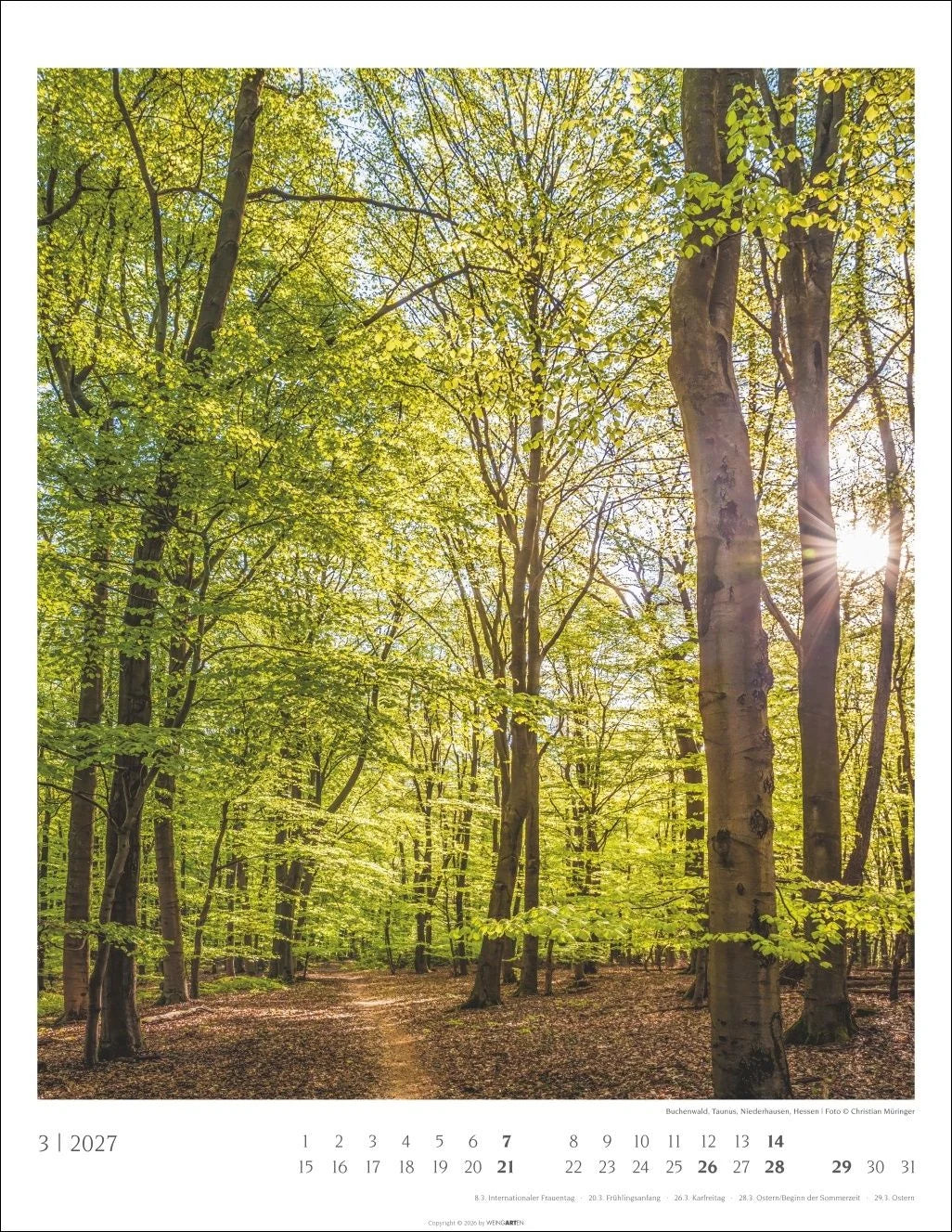 Heimische Wälder Kalender 2027 – Ansicht