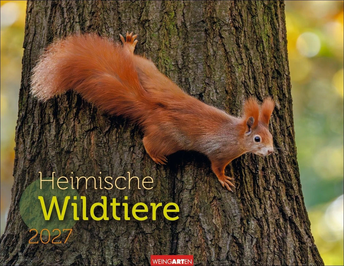 Wandkalender: Heimische Wildtiere Kalender 2027