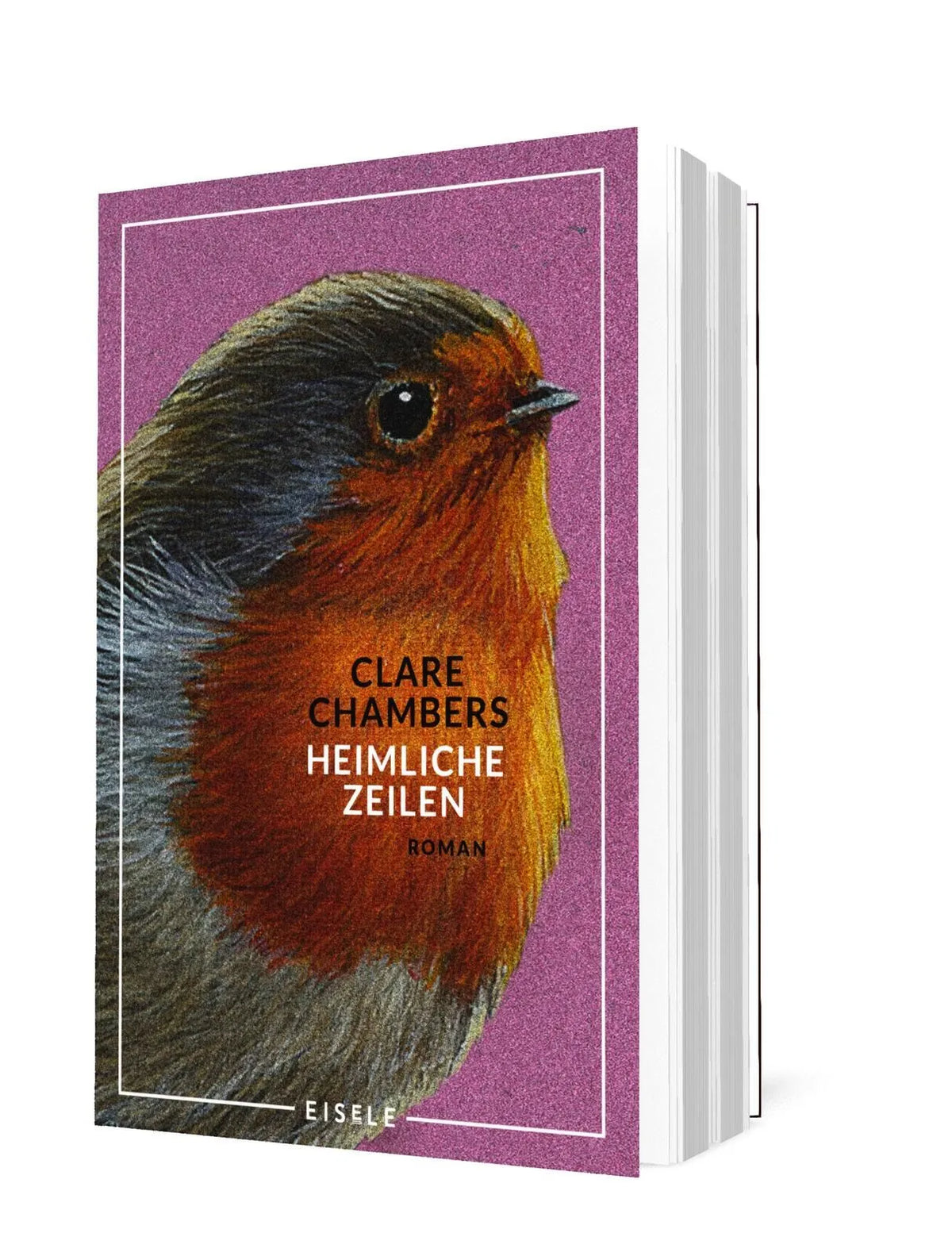 Detailansicht: Heimliche Zeilen (Taschenbuch)