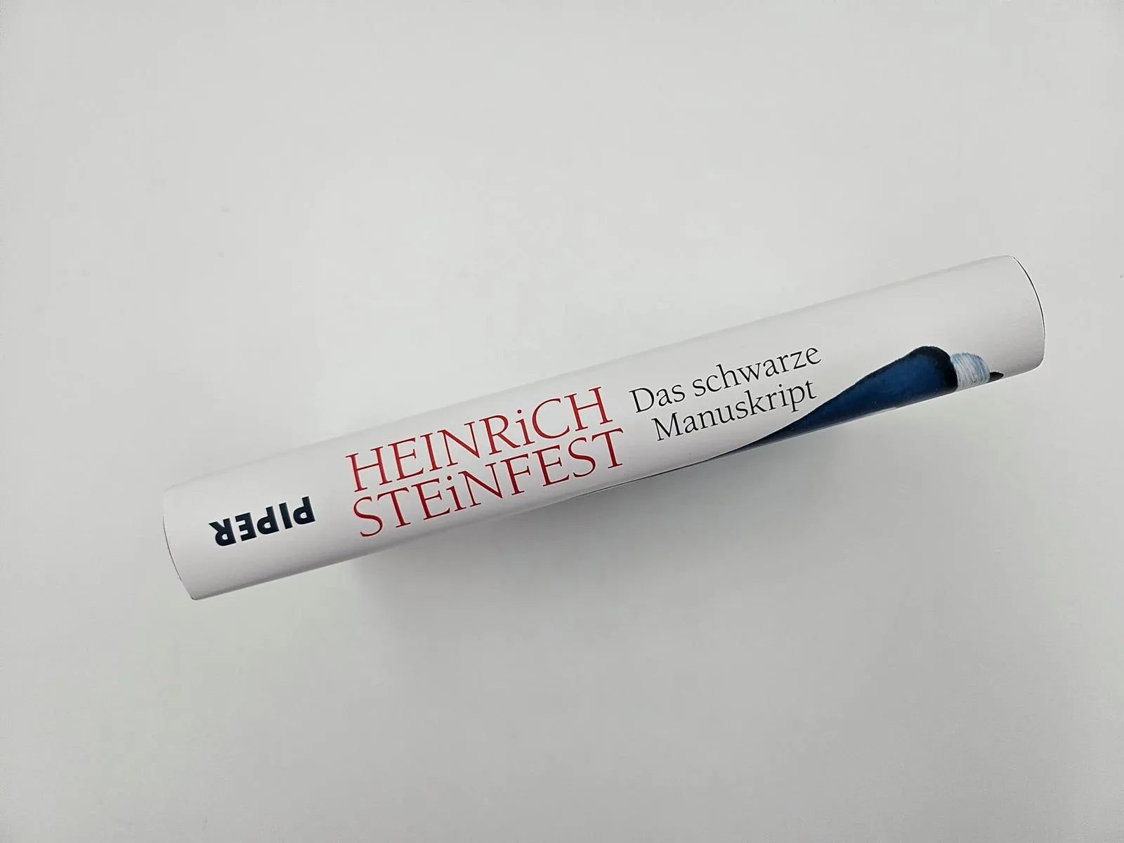 Produktansicht: Das schwarze Manuskript (Gebundene Ausgabe)
