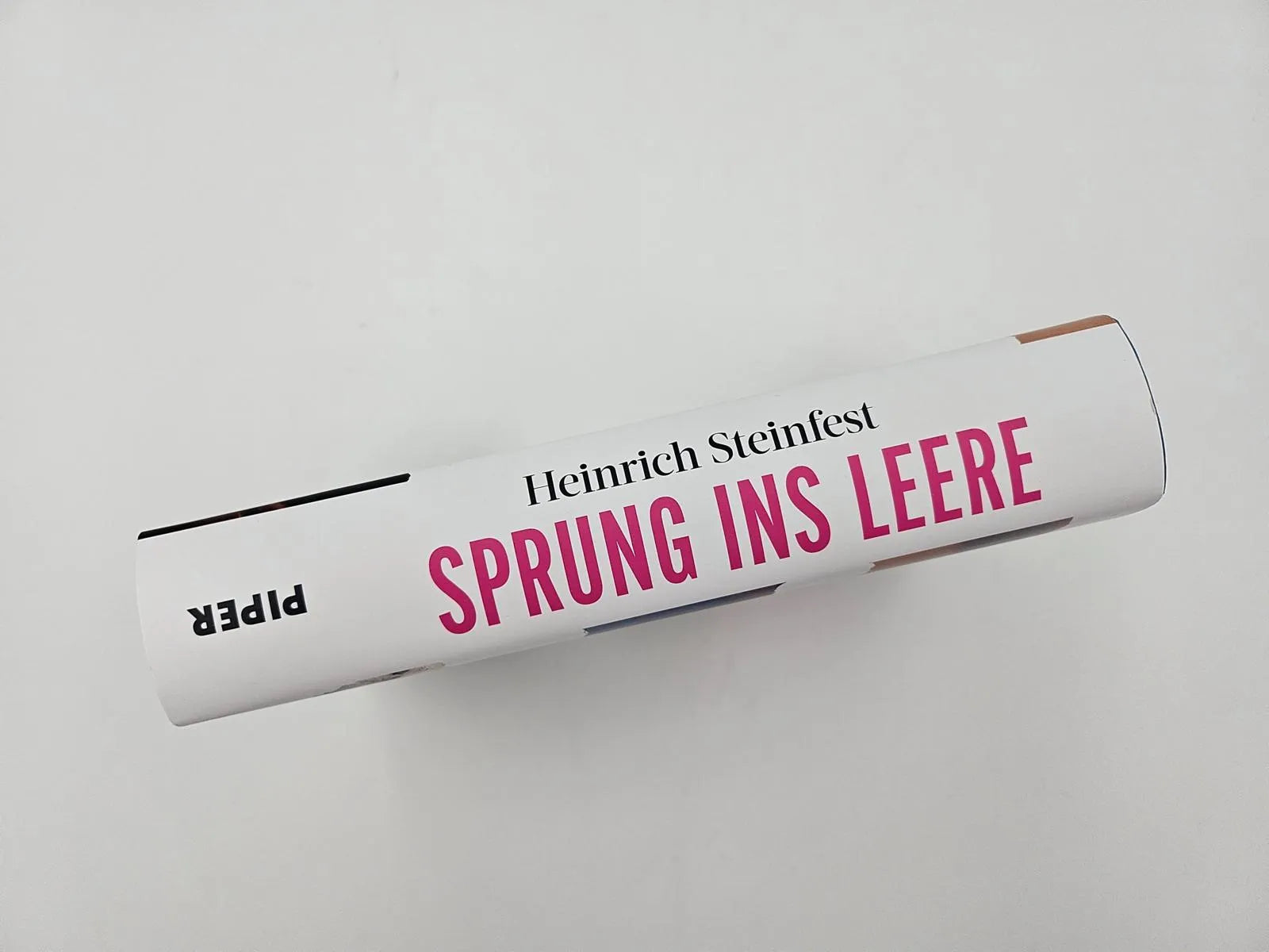Produktansicht: Sprung ins Leere (Gebundene Ausgabe)