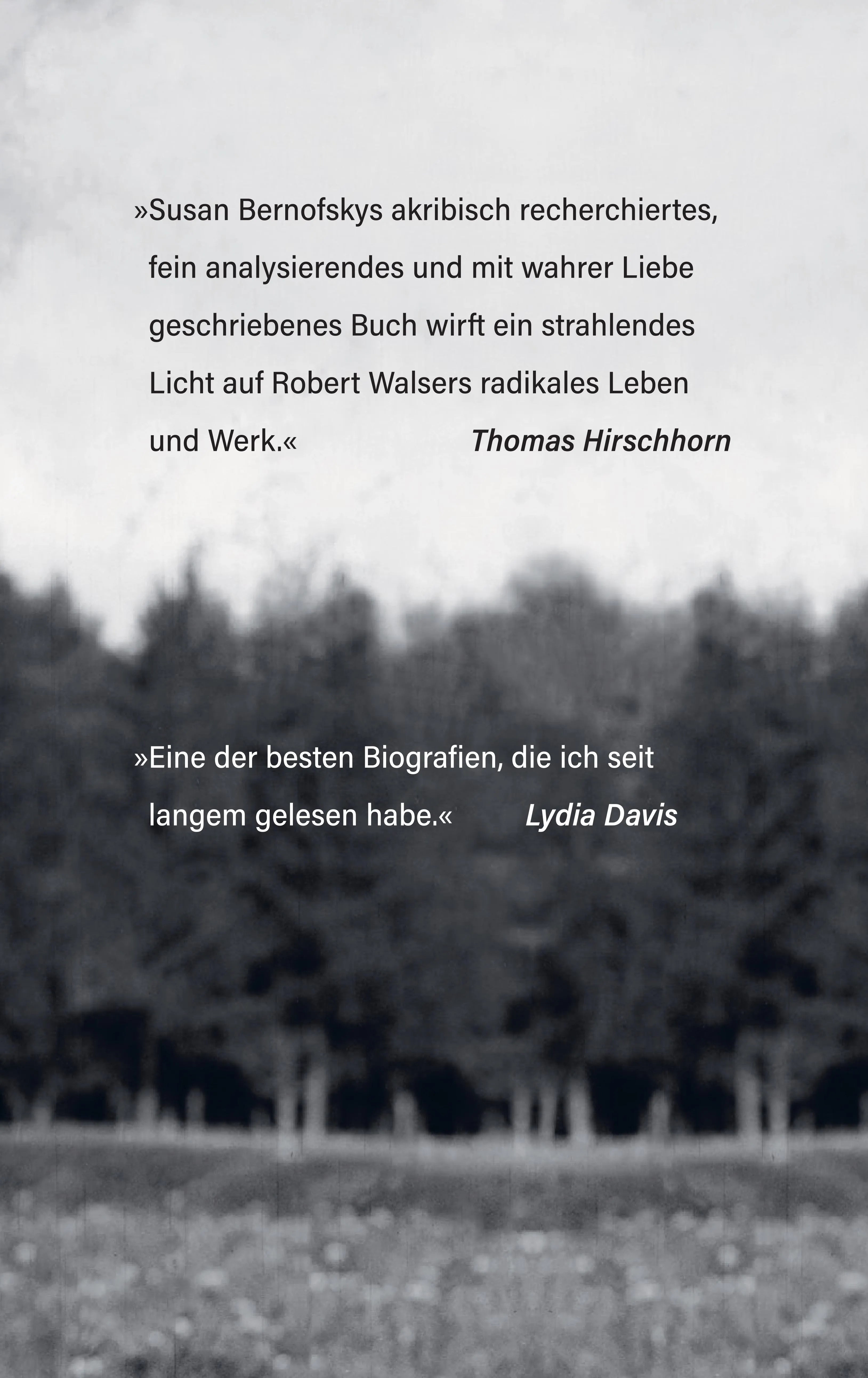 Buchrückseite von '»Hellseher im Kleinen«' mit Klappentext - Gebundene Ausgabe