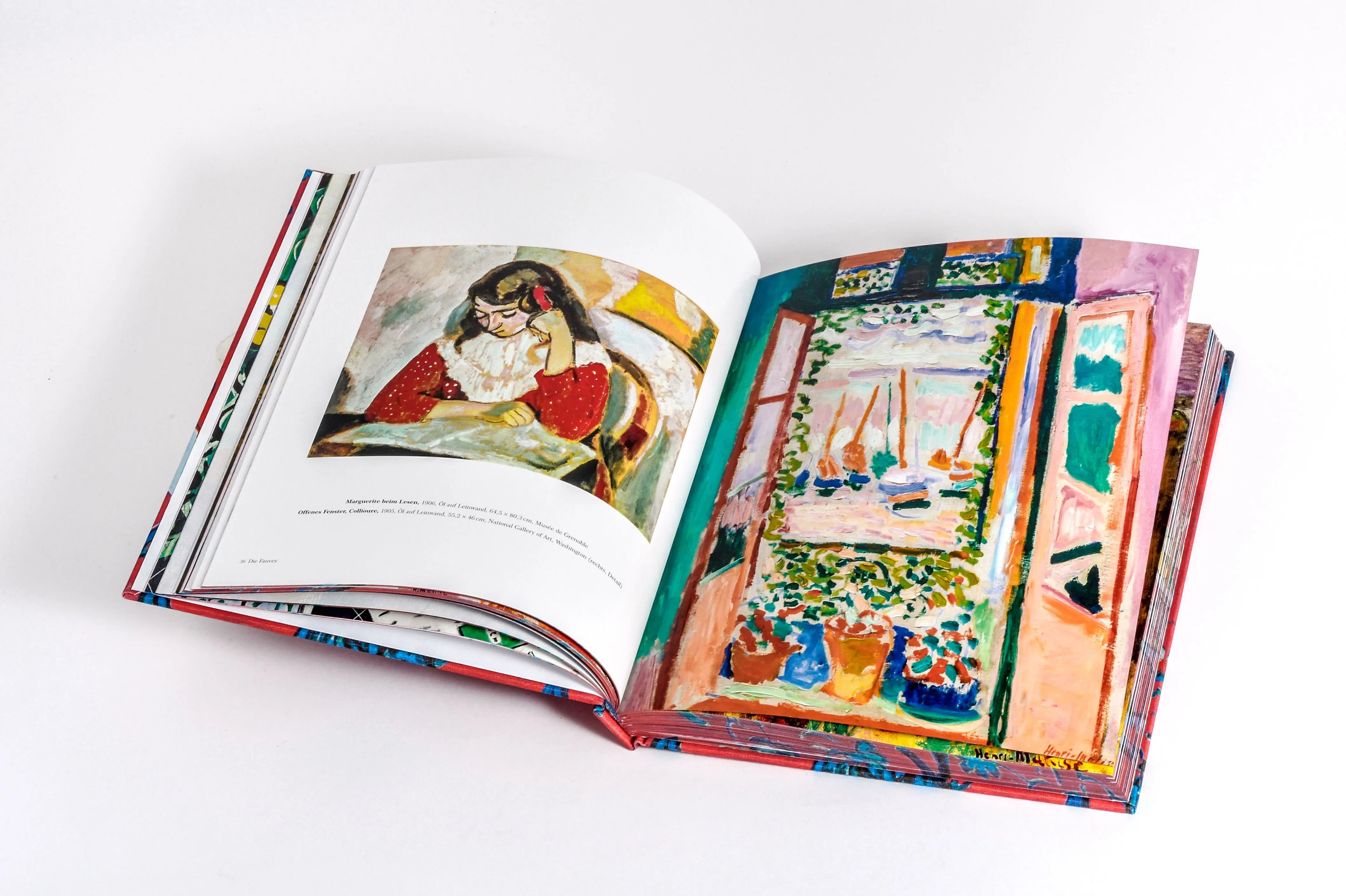 Detailansicht: Henri Matisse (Hardcover)