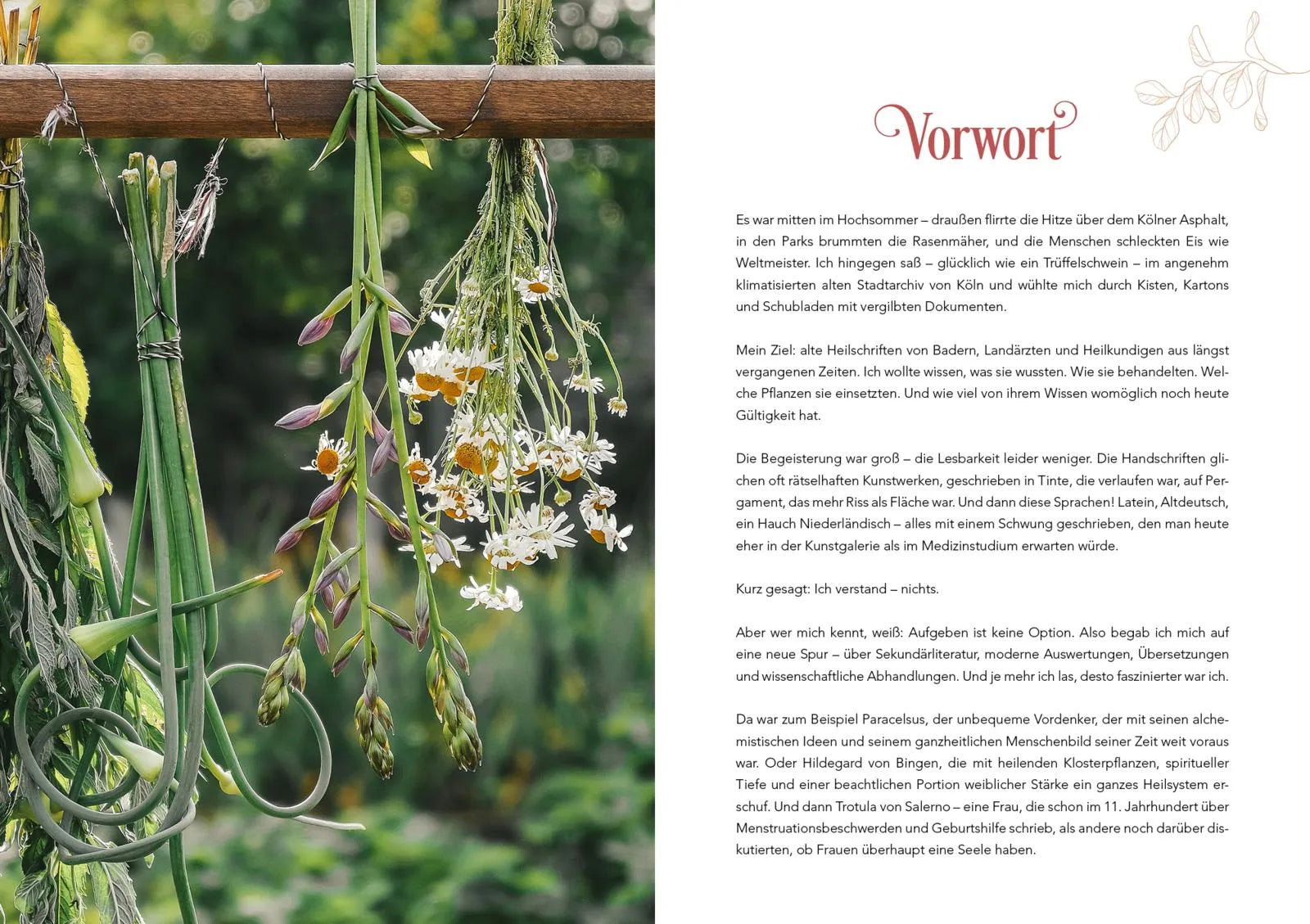 Innenansicht von 'Herbal Healing – Medizin aus der Natur' - Taschenbuch