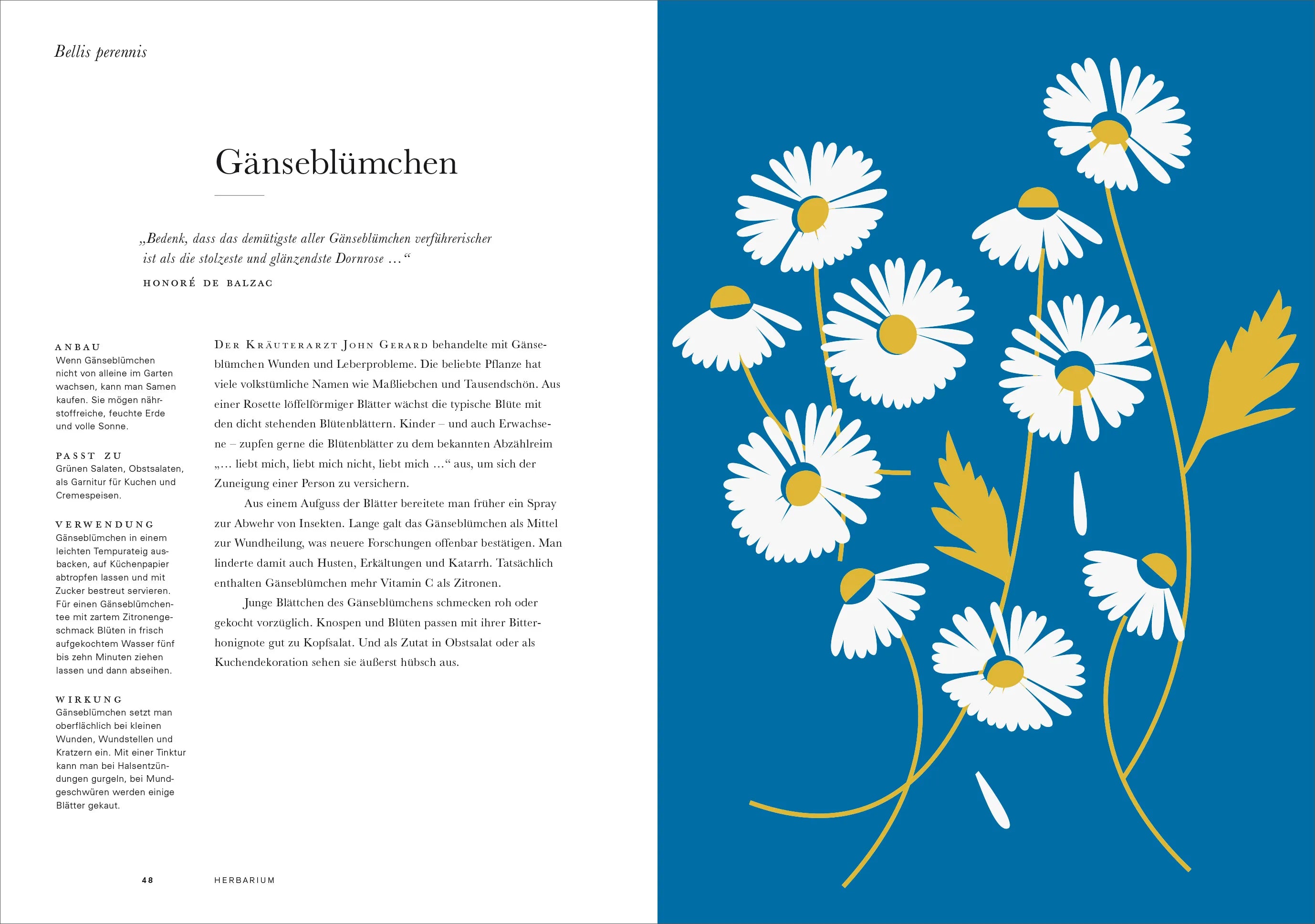 Abbildung von 'Herbarium'