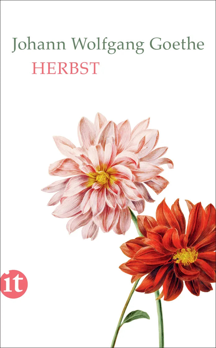 Buchcover von 'Herbst' - Taschenbuch von Johann Wolfgang Goethe