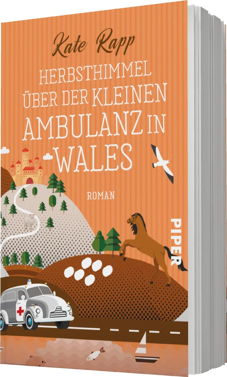 Kate Rapp - Herbsthimmel über der kleinen Ambulanz in Wales