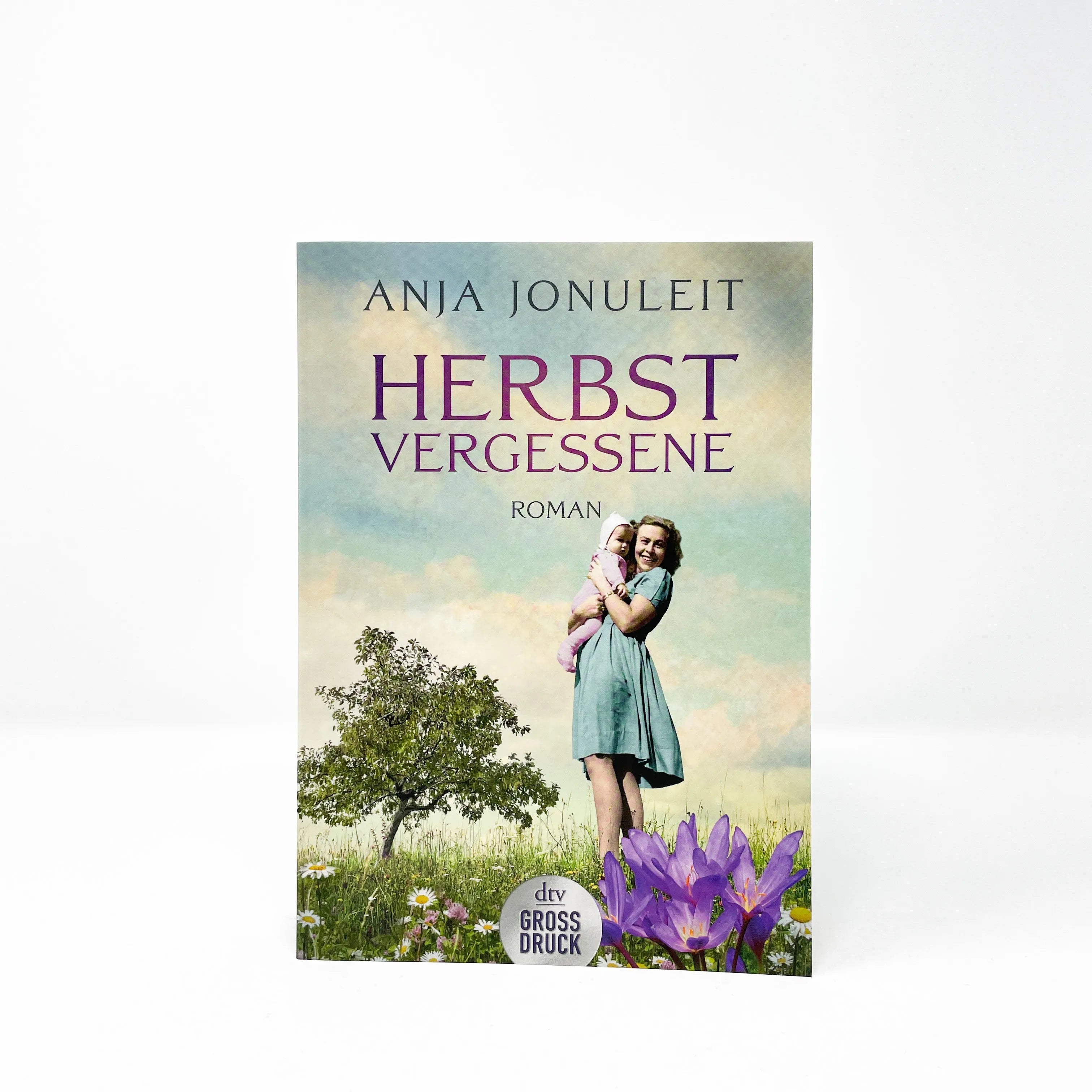 Produktansicht: Herbstvergessene (Taschenbuch)