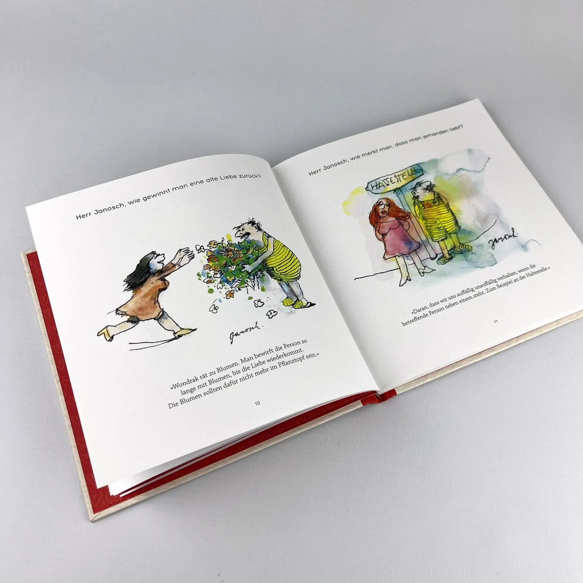 Detailansicht: Herr Janosch, wie drückt man Liebe aus, die so groß ist, dass man keine Worte dafür findet? (Hardcover)