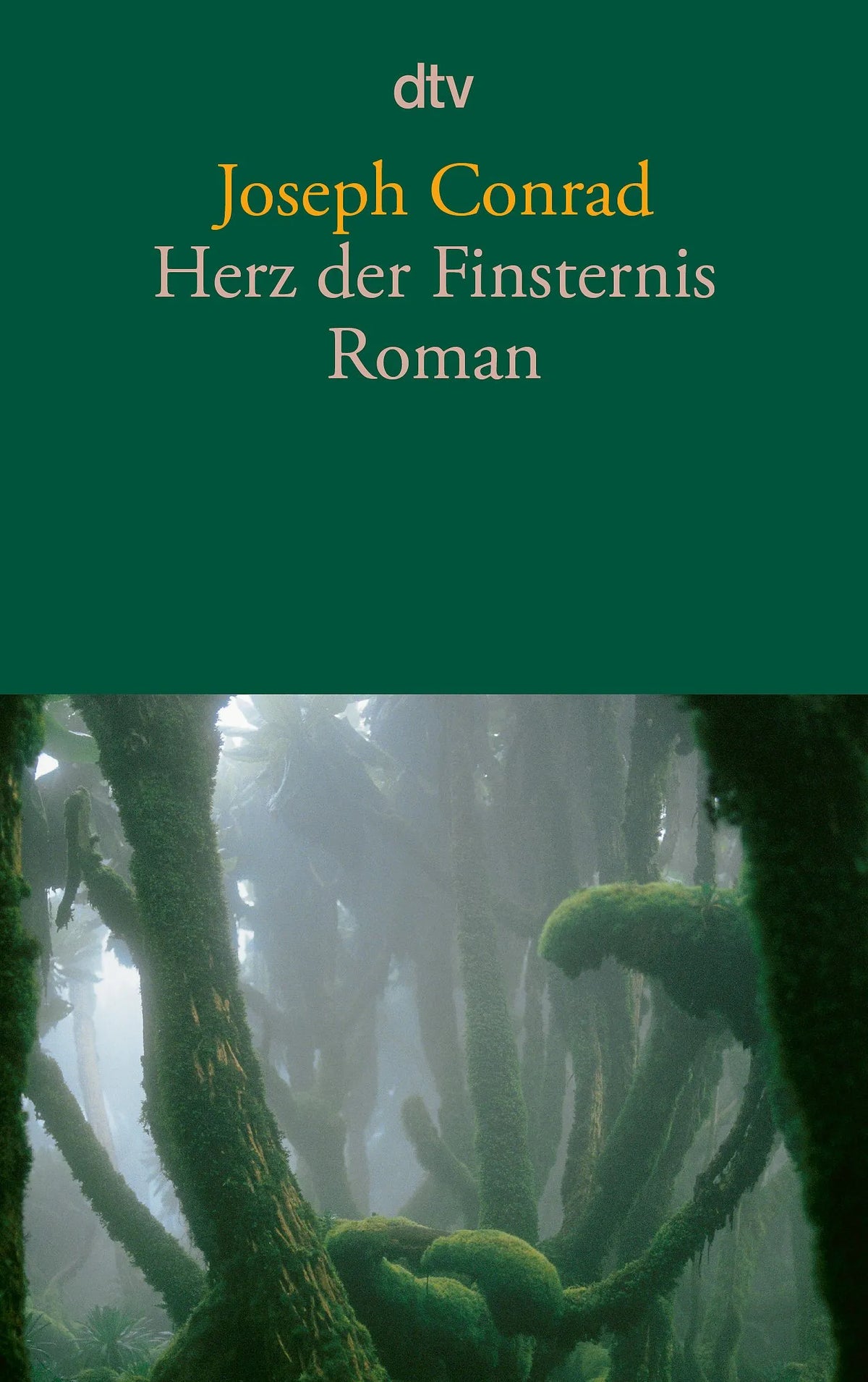 Cover: Herz der Finsternis (Taschenbuch) von Joseph Conrad