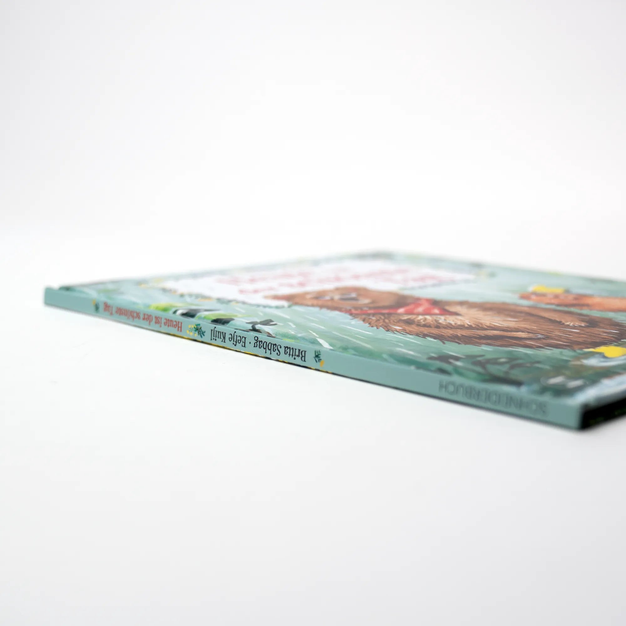 Detailansicht: Heute ist der schönste Tag. (Hardcover)