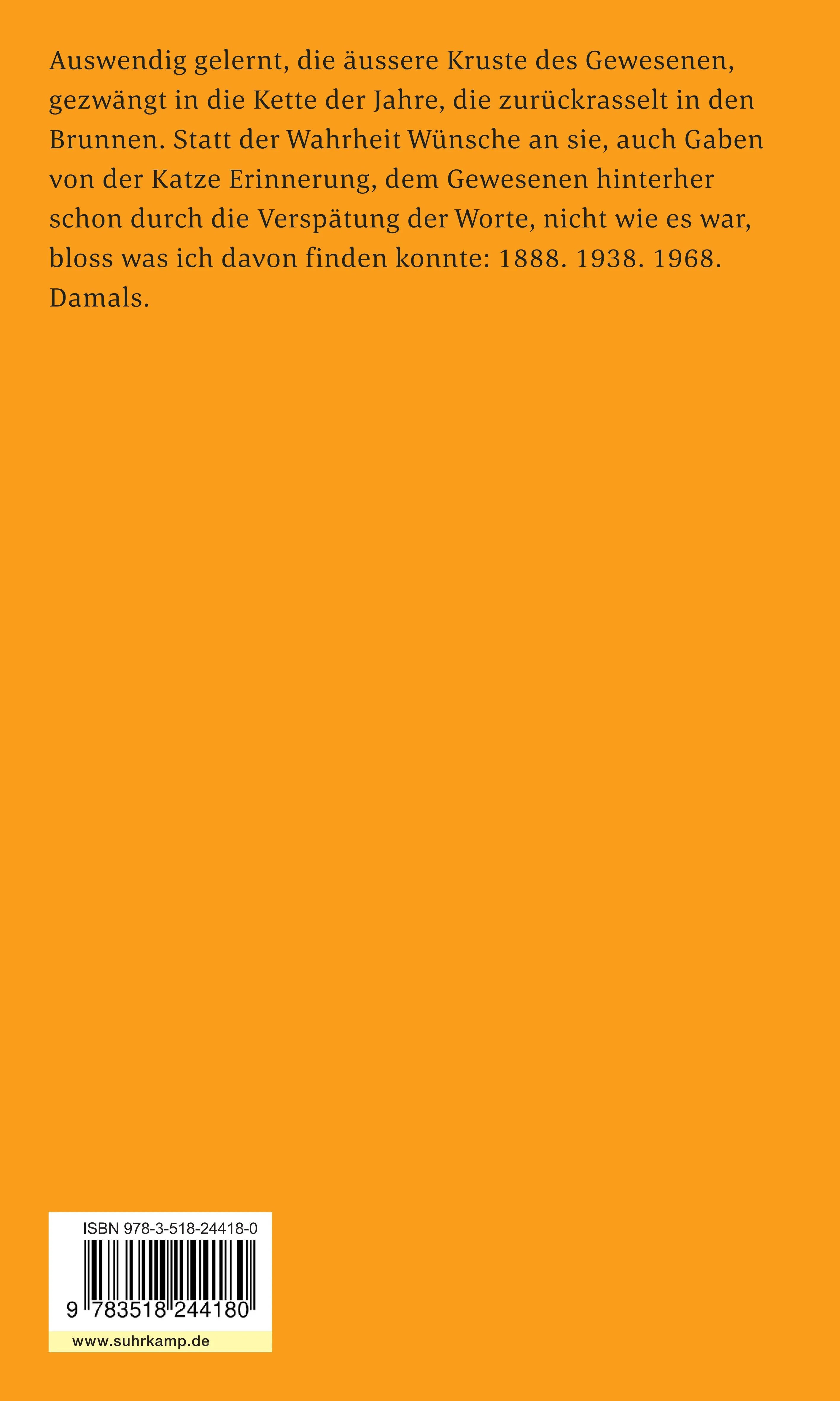 Buchrückseite von 'Heute Neunzig Jahr' mit Klappentext - Taschenbuch