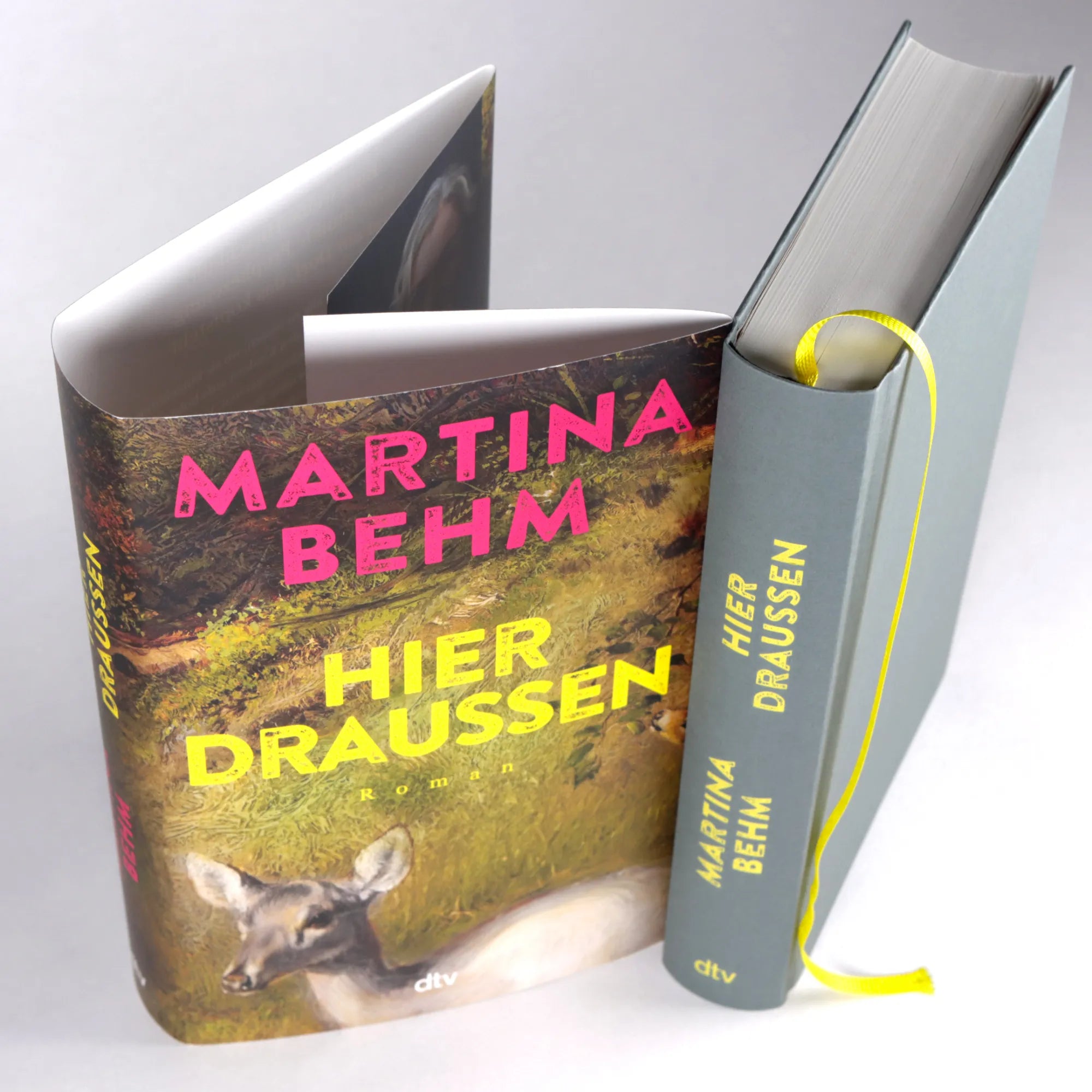 Detailansicht: Hier draußen (Hardcover)