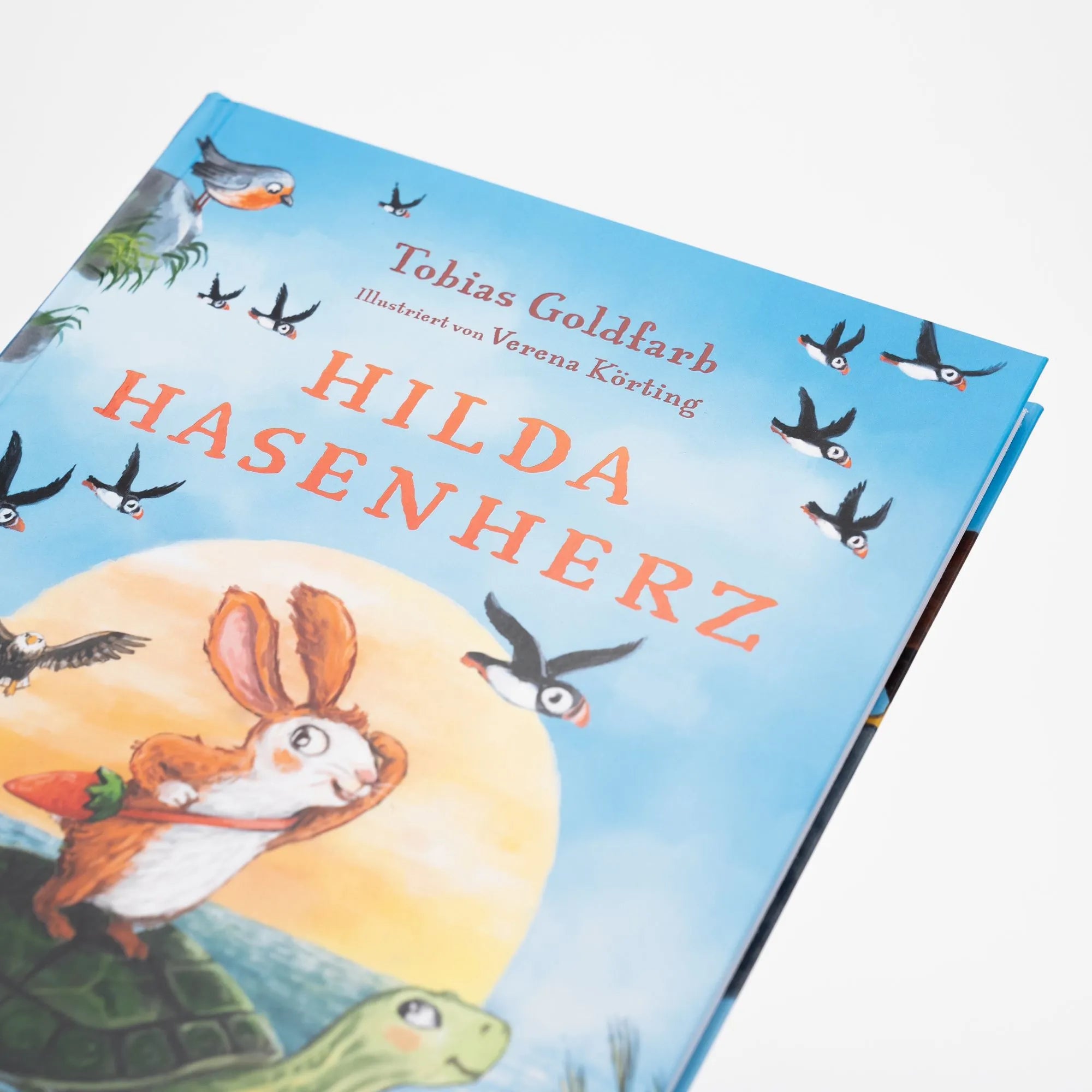Detailansicht: Hilda Hasenherz. Das Abenteuer auf der Adlerinsel (Hardcover)