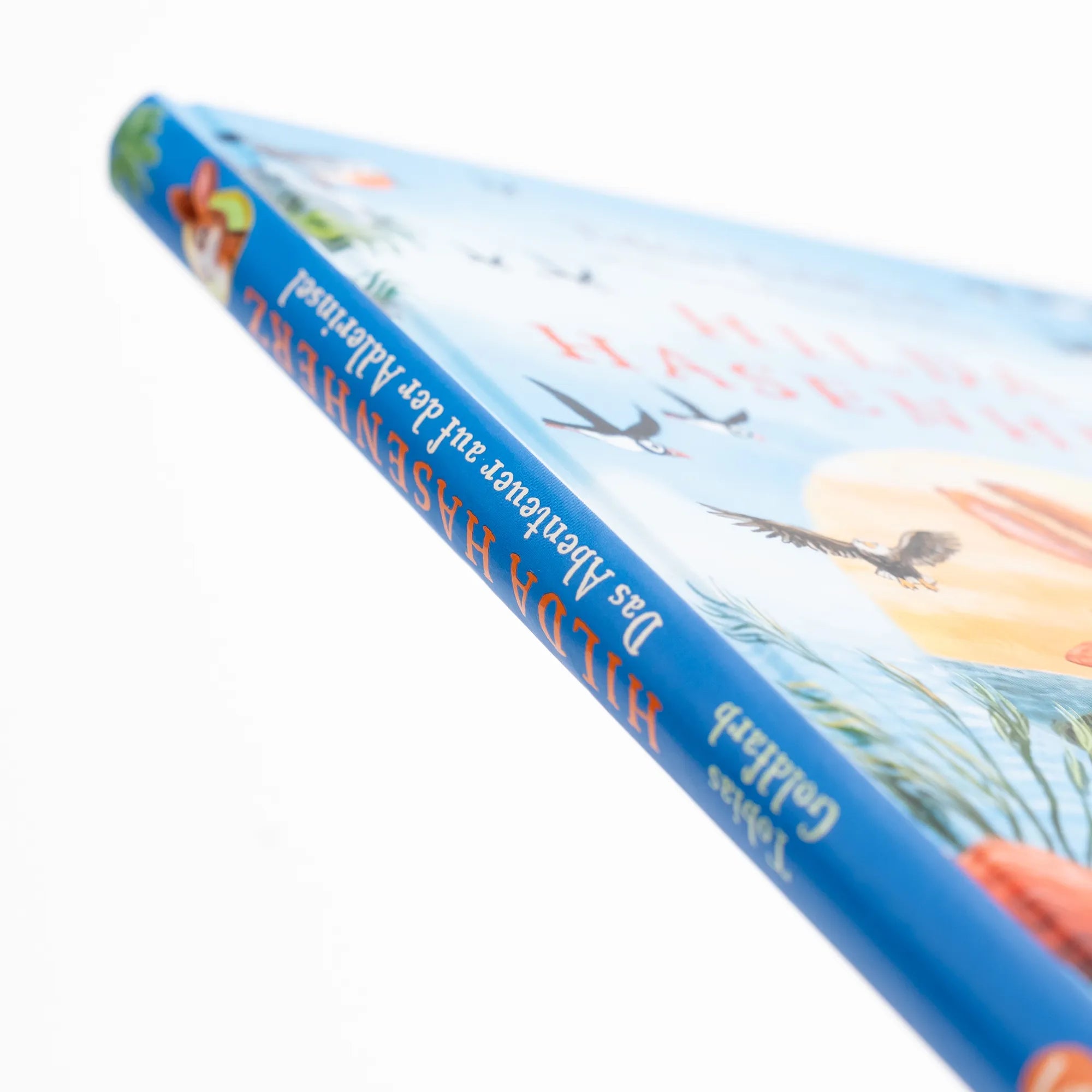 Produktansicht: Hilda Hasenherz. Das Abenteuer auf der Adlerinsel (Gebundene Ausgabe)