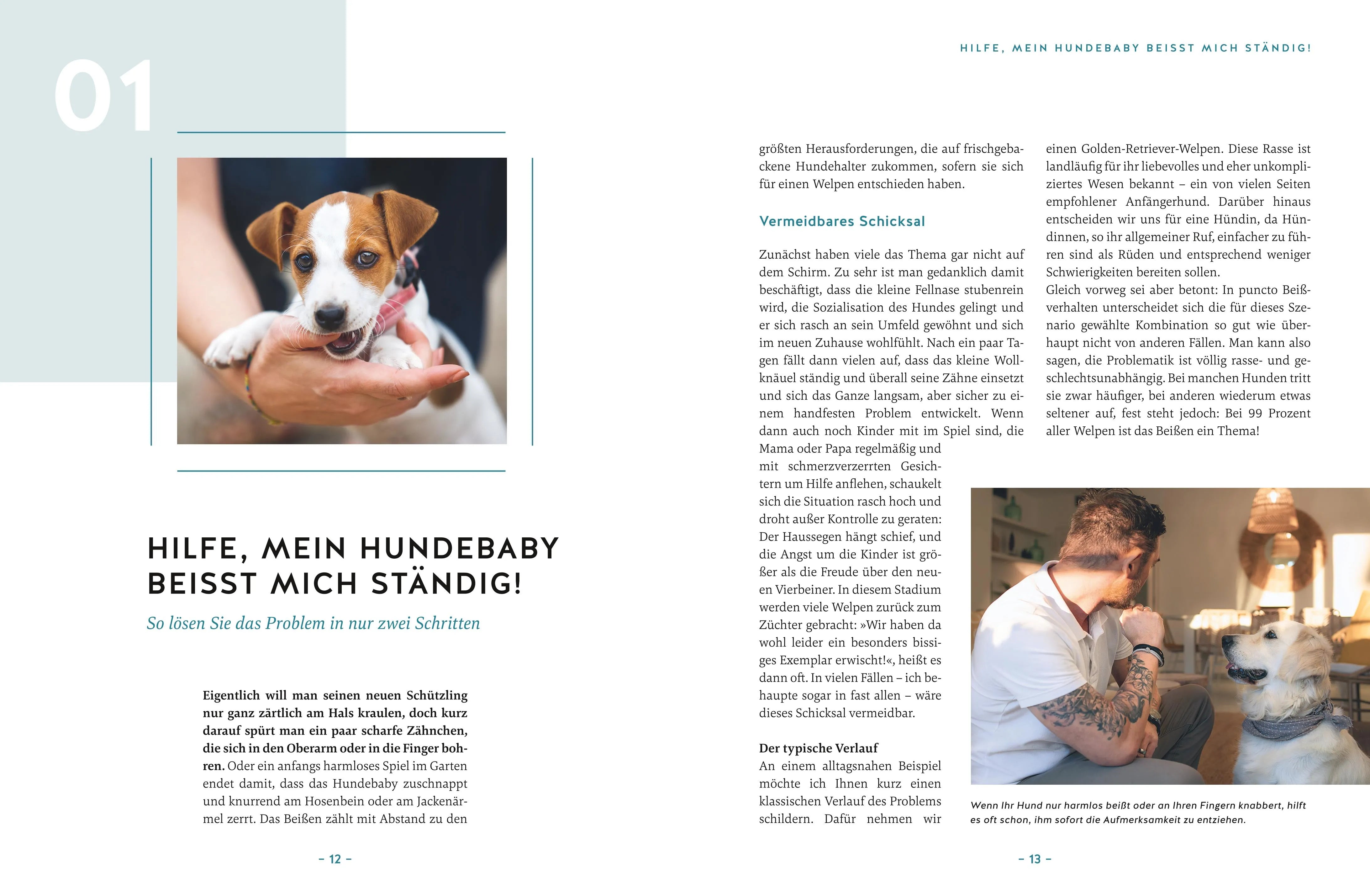 Abbildung von 'Hilfe, mein Hund macht, was er will!'