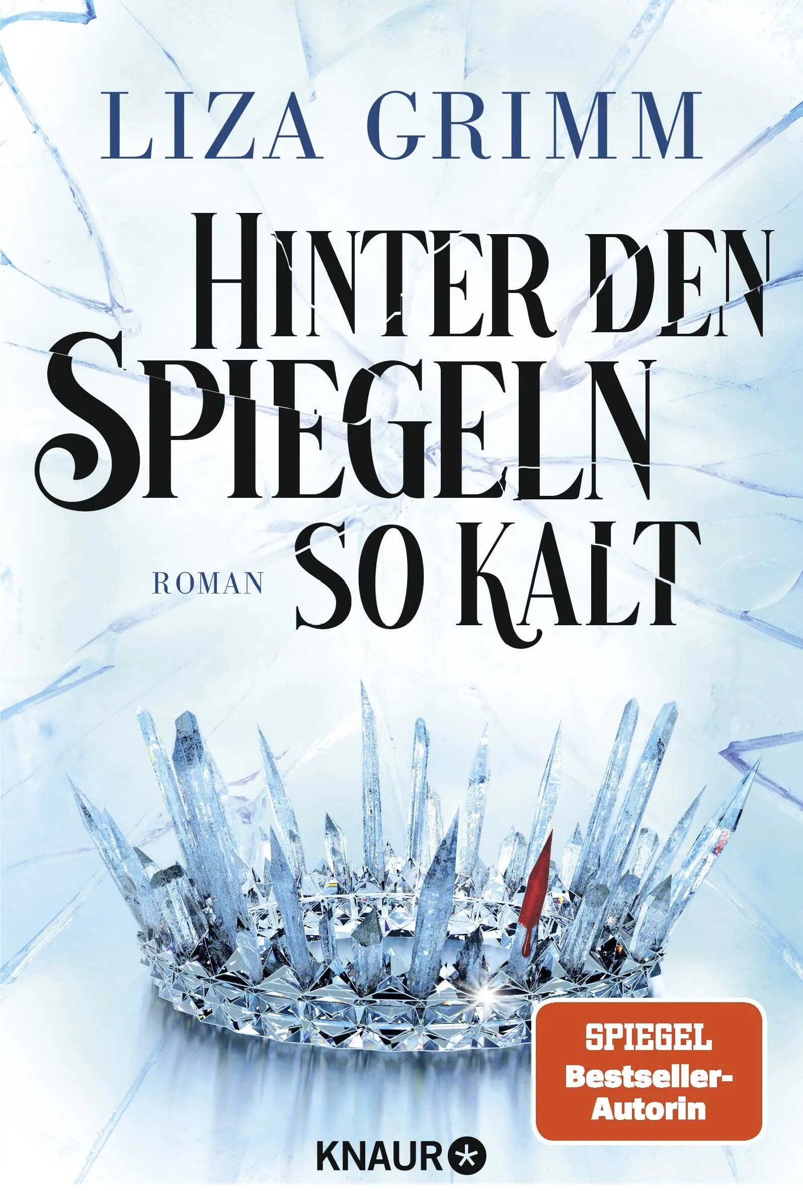 Buchcover von 'Hinter den Spiegeln so kalt' - Paperback von Liza Grimm
