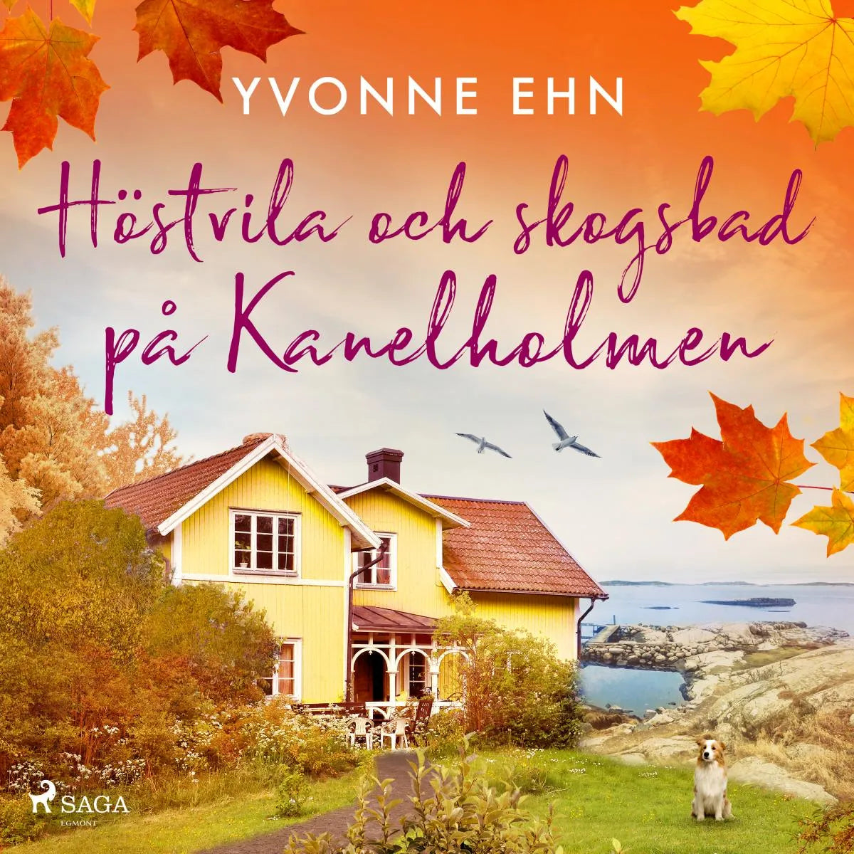 Cover: Höstvila och skogsbad på Kanelholmen (Hörbuch Download) von Yvonne Ehn