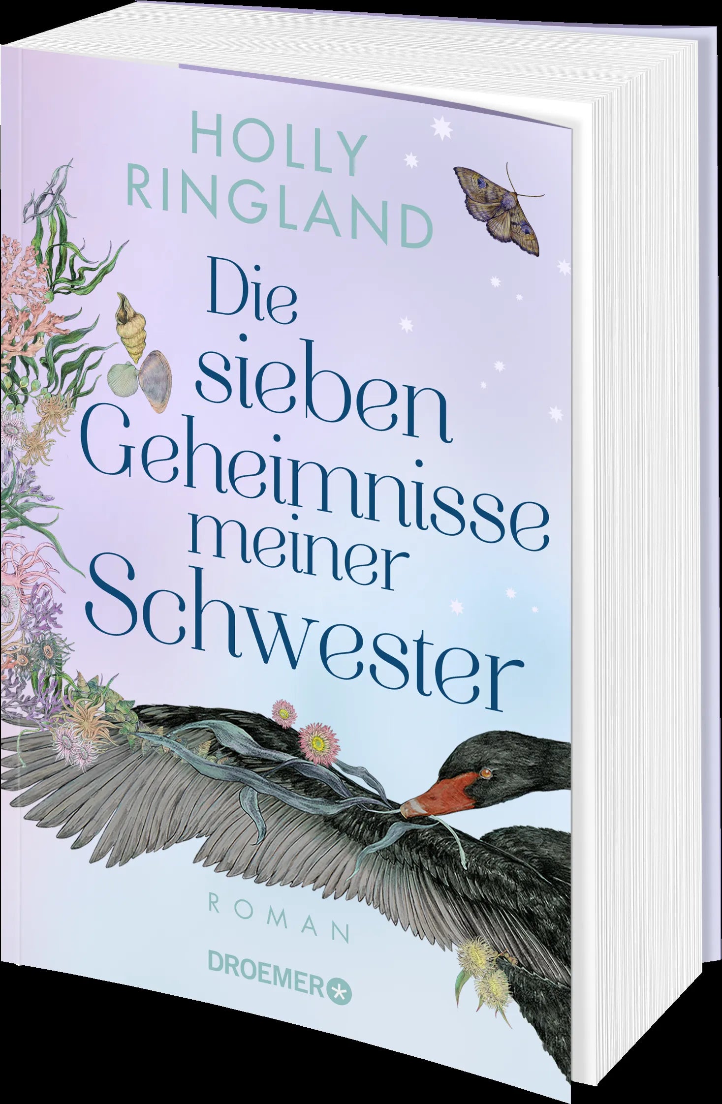 Produktansicht: Die sieben Geheimnisse meiner Schwester (Paperback)