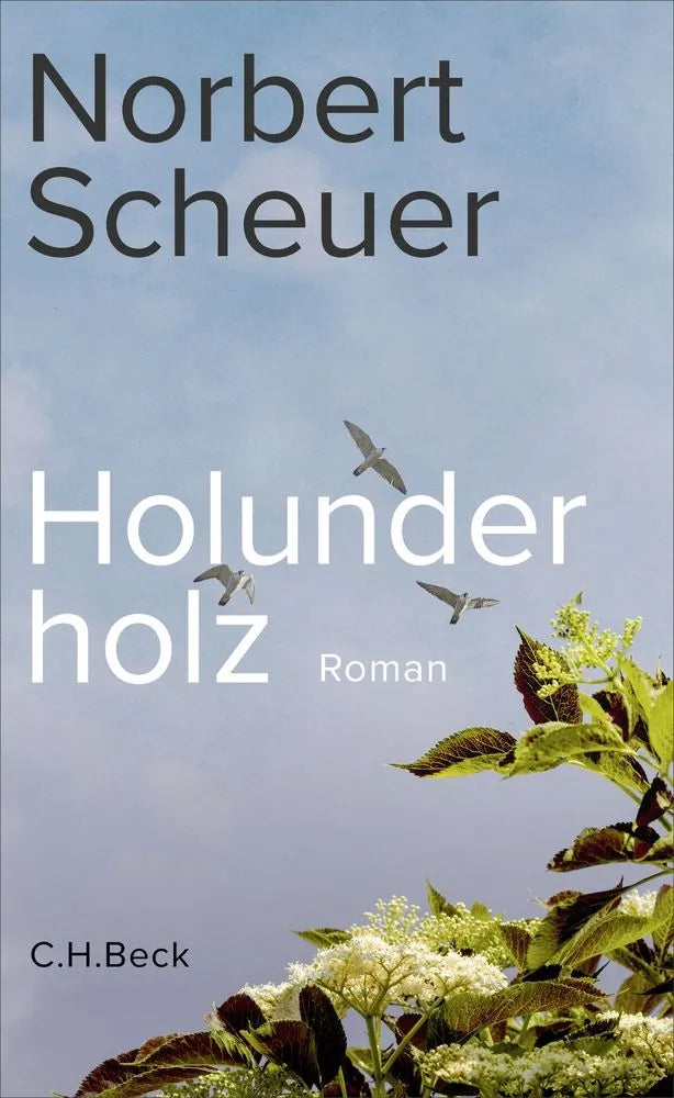 Cover: Holunderholz (E-Book) von Norbert Scheuer
