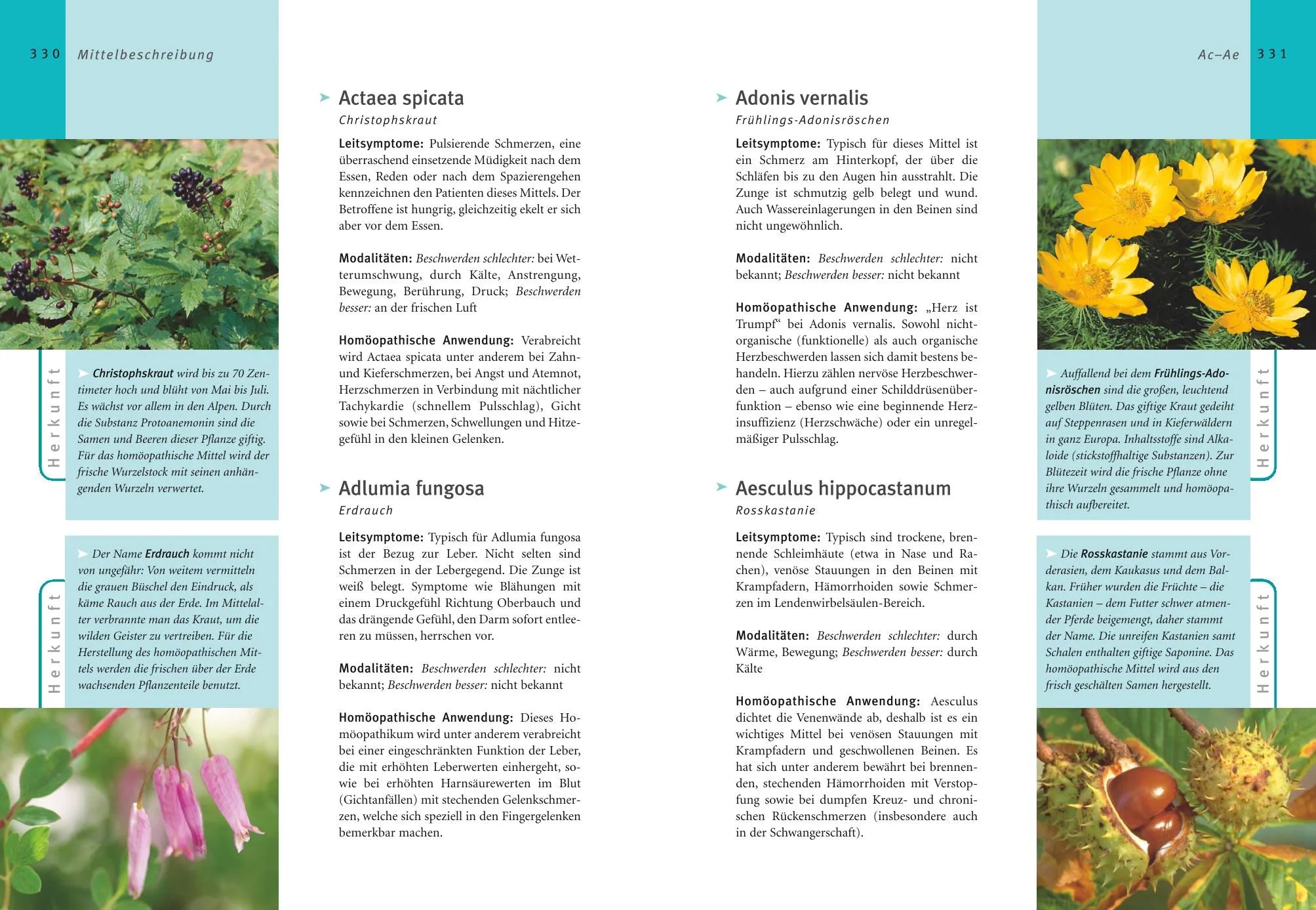 Abbildung von 'Homöopathie - Das große Handbuch'